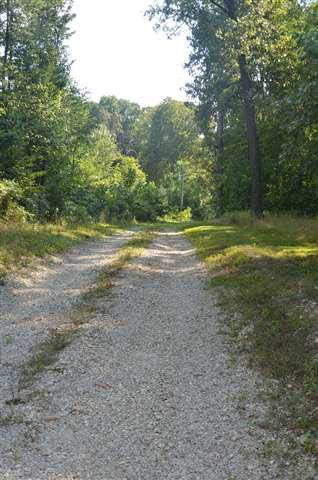 4960 South Reeves Road Scottsburg, IN 47170 - Photo 3 of 28