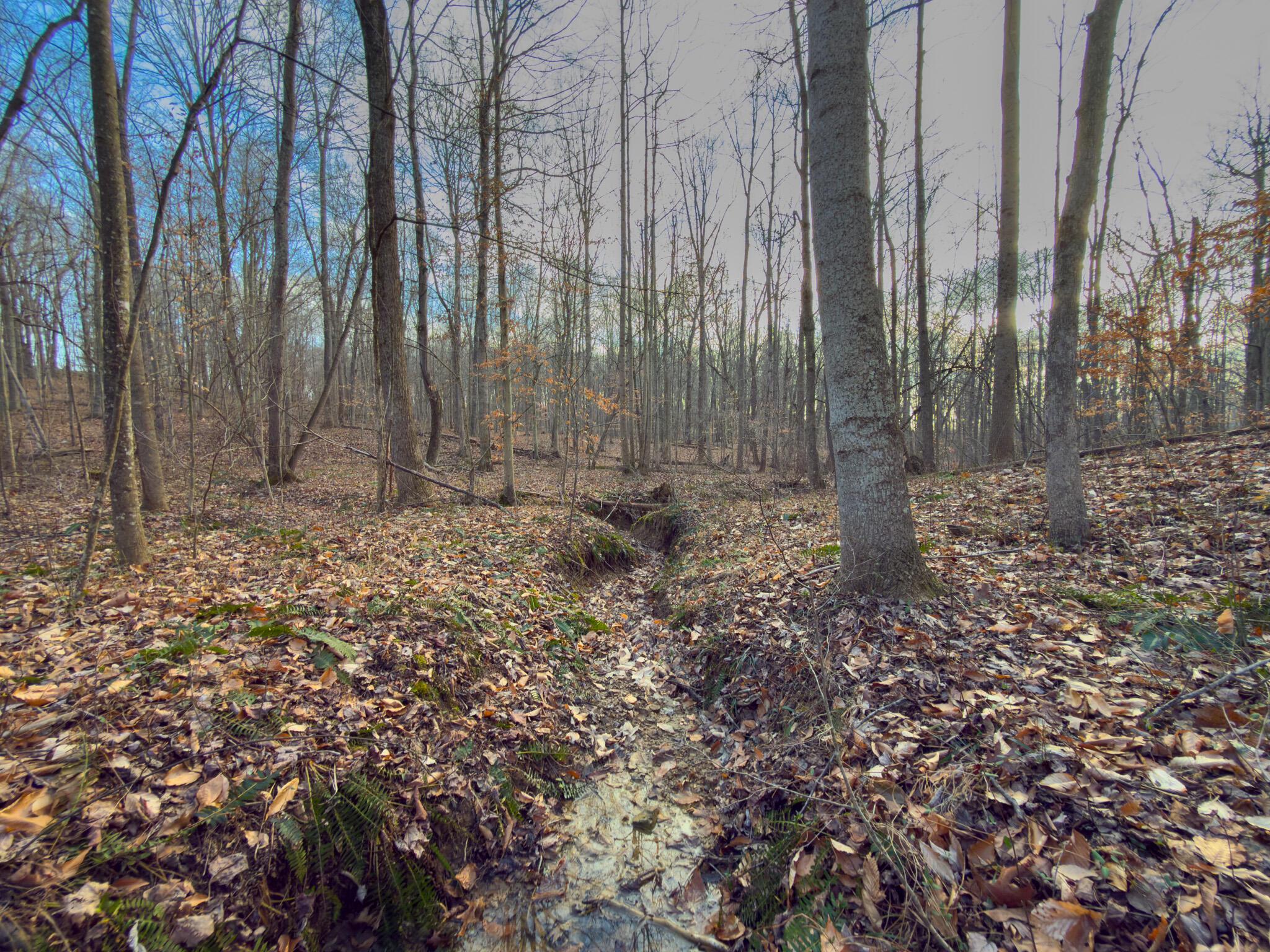 0 Long Fork Road Piketon, OH 45661 - Photo 26 of 37 Long fork rd.-26