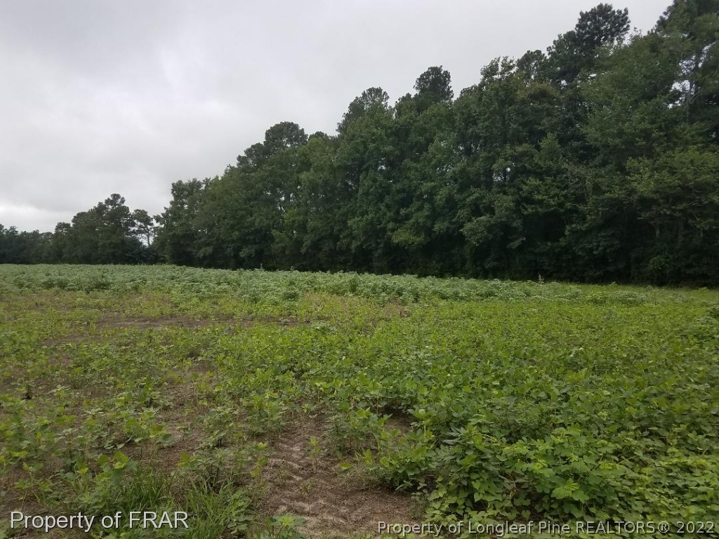 Gaddys Road Orrum, NC 28369 - Photo 1 of 4 Gallery Image 1