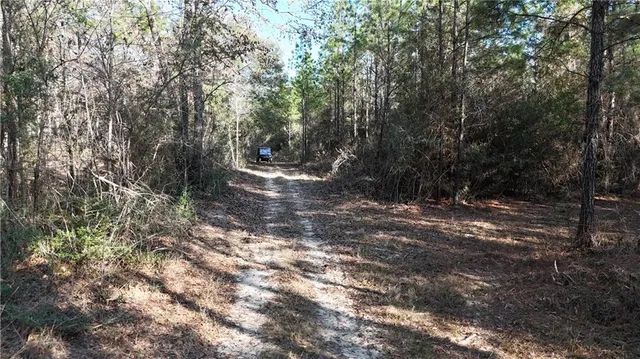 $269,000 | 588 B Old Highway 26, Perkinston, MS 39573