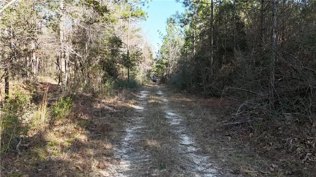 $269,000 | 588 B Old Highway 26, Perkinston, MS 39573