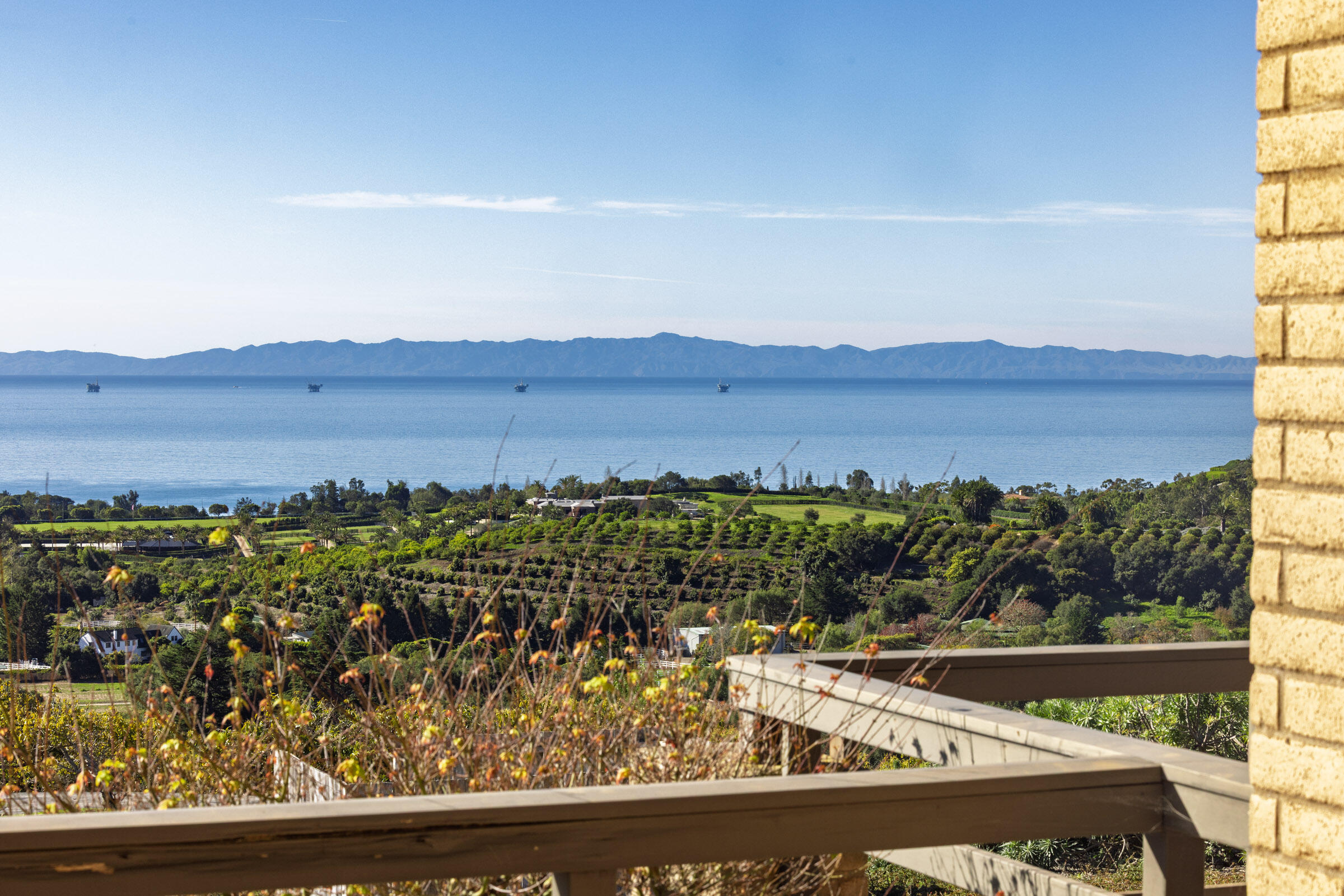 450 Lambert Road Carpinteria, CA 93013 - Photo 10 of 21 a view of a small yard and large trees