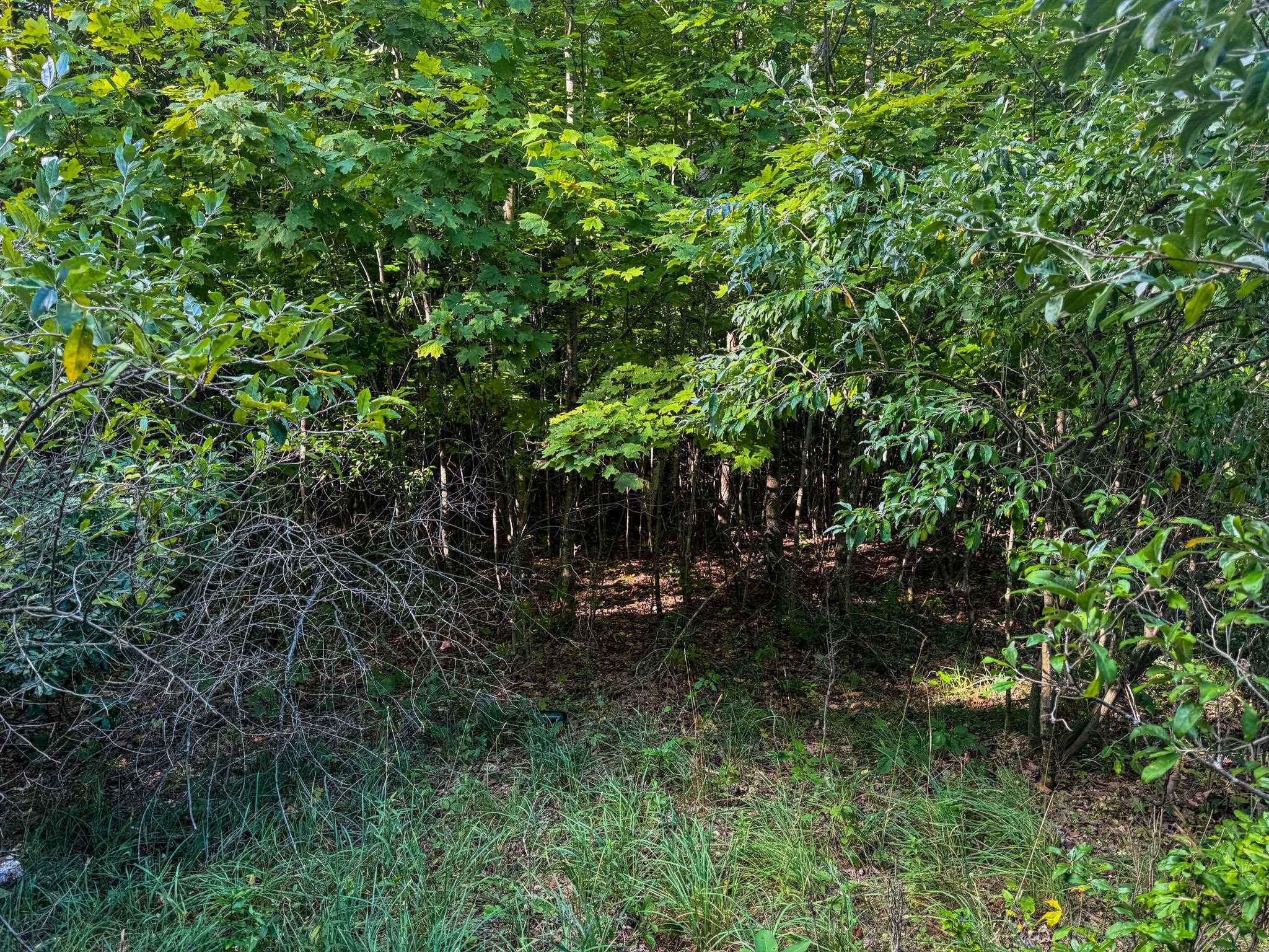 3 East Darga Road Cedar, MI 49621 - Photo 13 of 16 1949897-c205ef52-6e29-48c2-afbd-d3794312f108.JPG