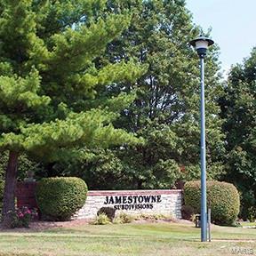 13630 Old Halls Ferry Road Black Jack, MO 63033 - Photo 3 of 16