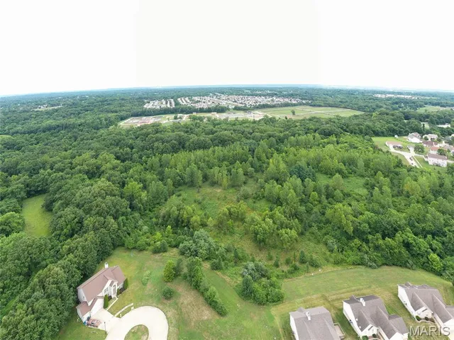 $710,000 | 13630 Old Halls Ferry Road, Black Jack, MO 63033