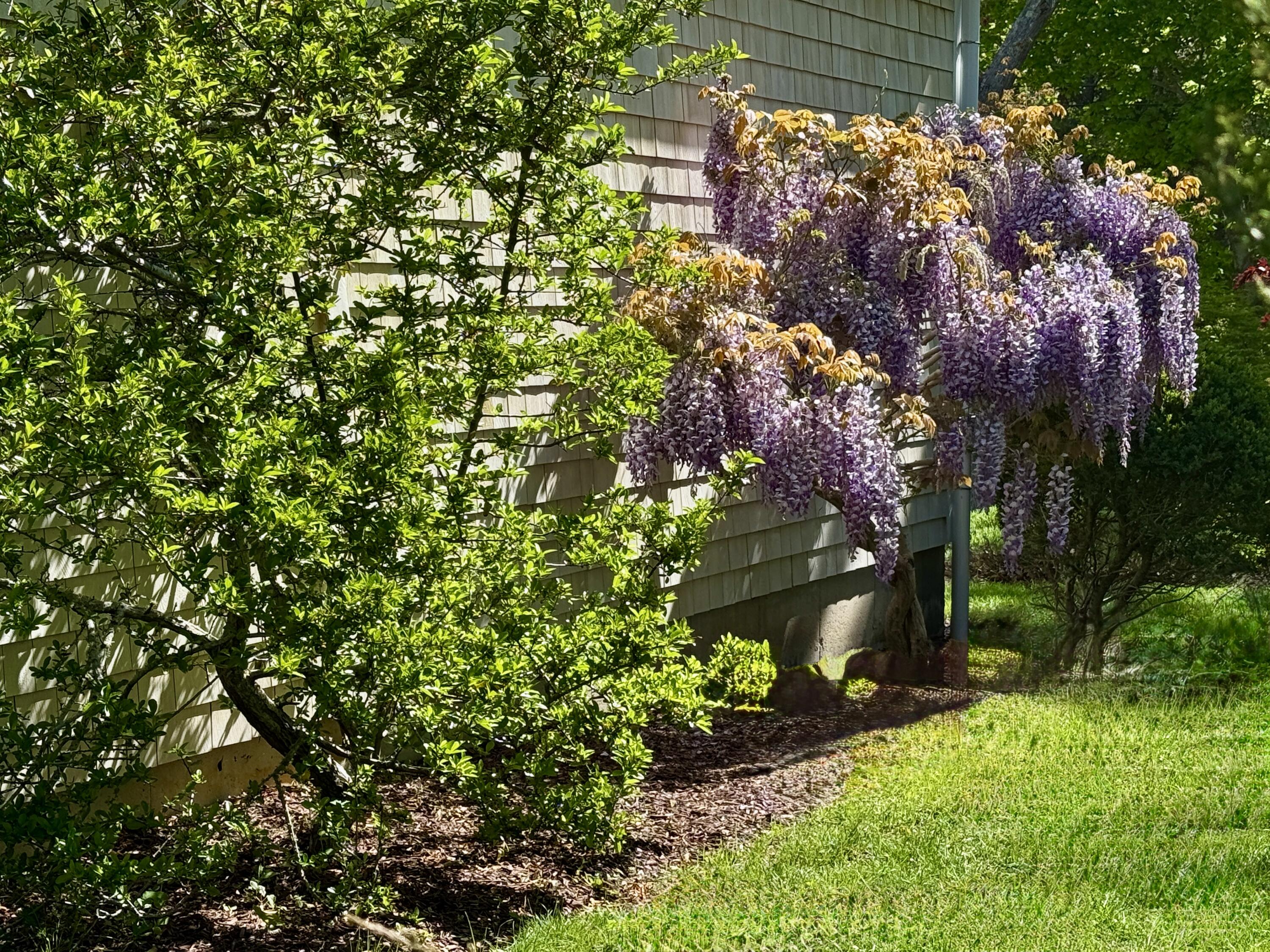 2000 Bridge Road Eastham, MA 02642 - Photo 53 of 67 IMG_20260806_124346