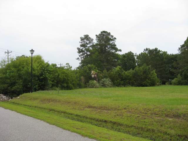 Lot 13 Hampton Ridge Road Conway, SC 29527 - Photo 2 of 4 Gallery Image 2