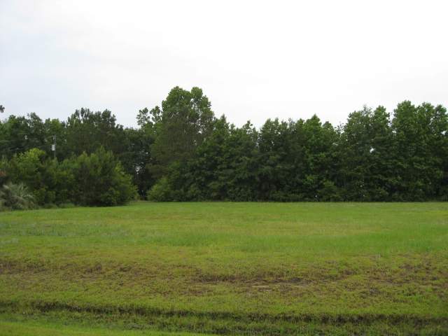 Lot 13 Hampton Ridge Road Conway, SC 29527 - Photo 3 of 4 Gallery Image 3