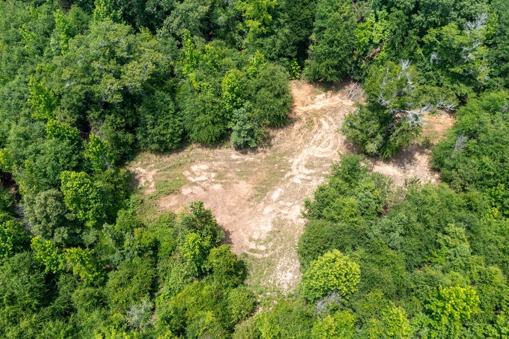 3 Comers Pond Road Pittsview, AL 36871 - Photo 5 of 51