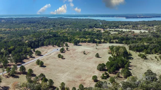 a view of a park with large trees