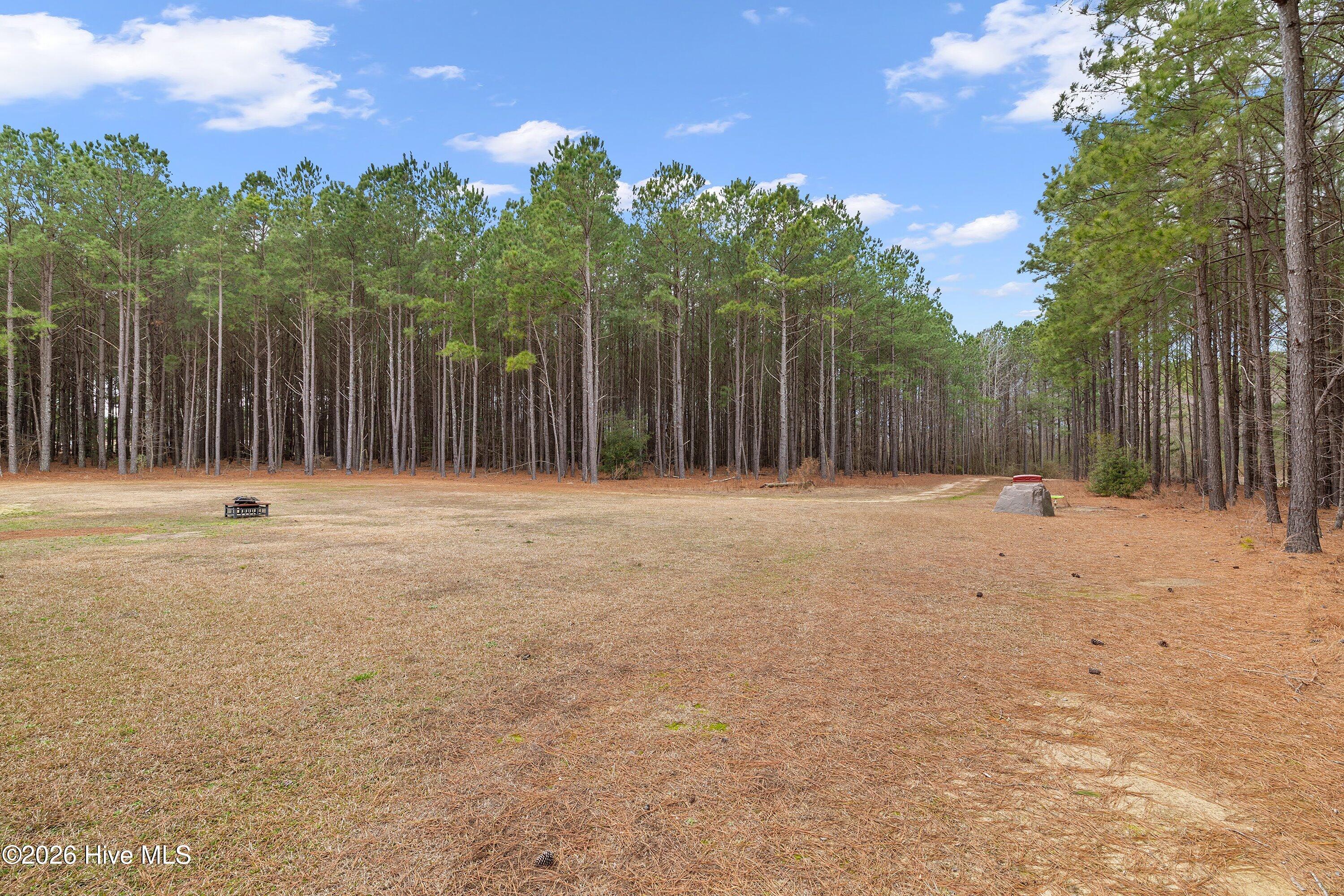 665 Mann Road Coats, NC 27521 - Photo 32 of 53 36-665 Mann Rd_5980