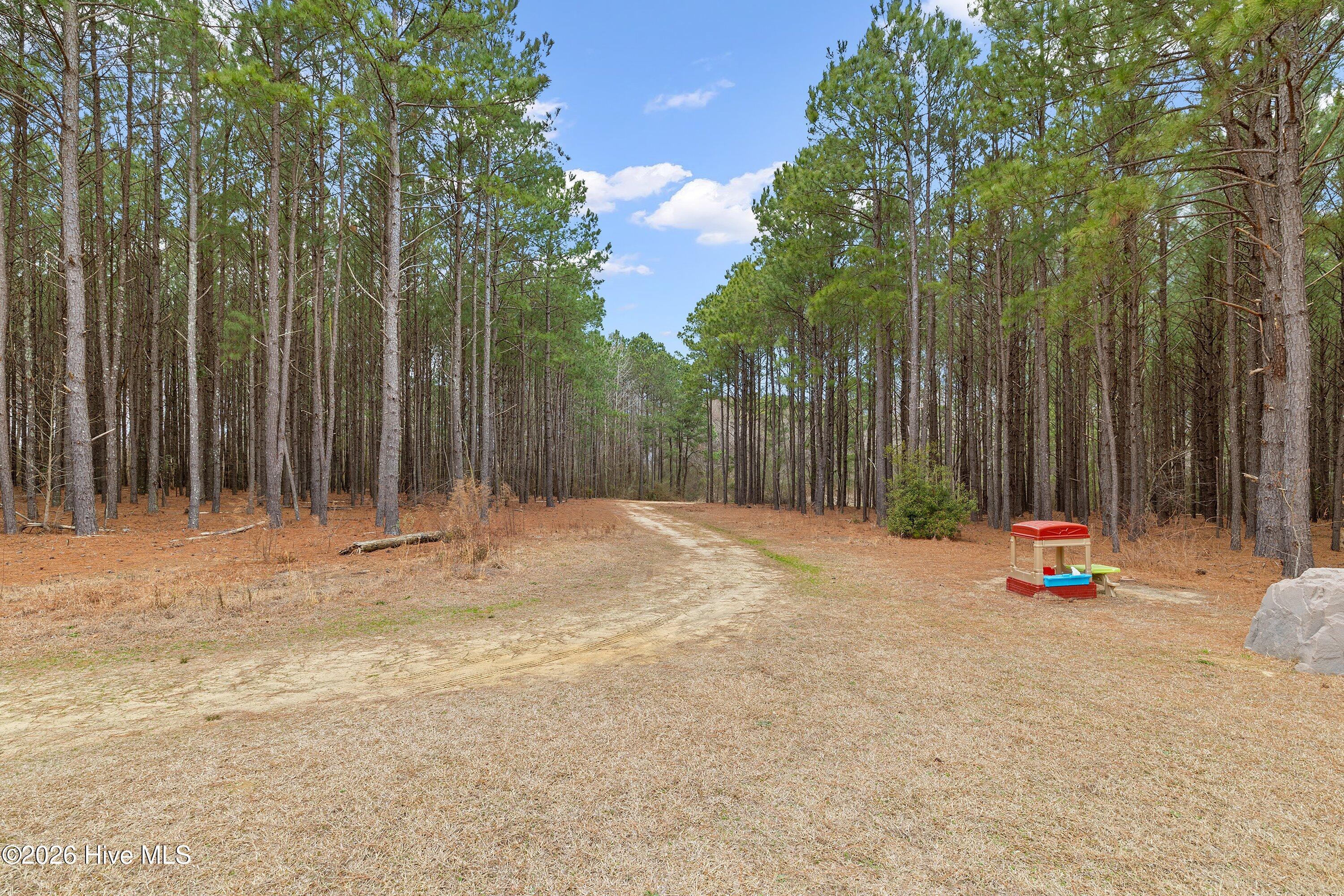 665 Mann Road Coats, NC 27521 - Photo 35 of 53 39-665 Mann Rd_5989