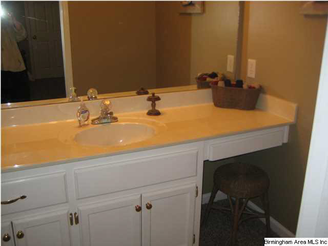 232 South Trace Lane Birmingham, AL 35244 - Photo 21 of 27