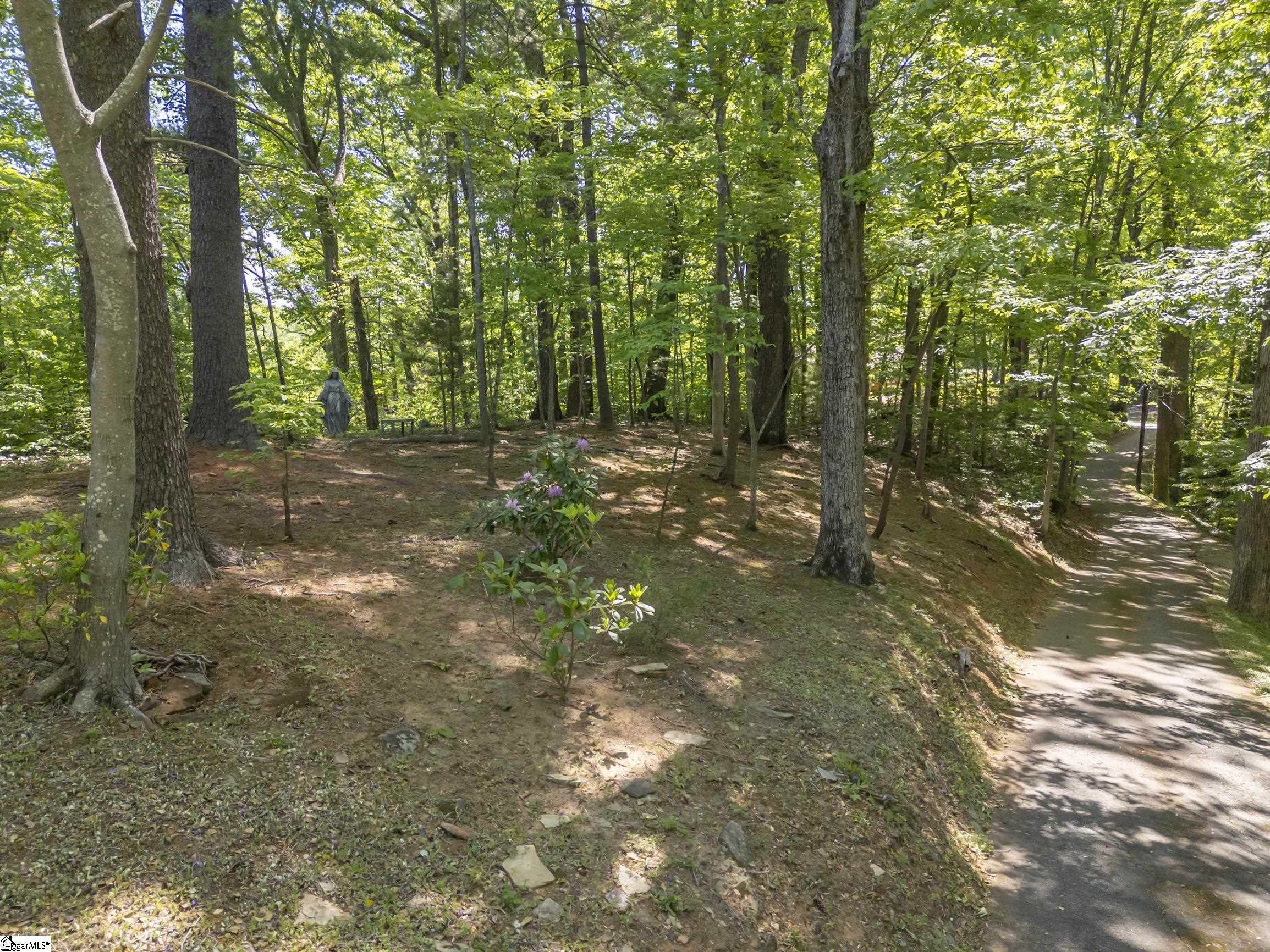 484 Sourwood Ridge Road Tryon, NC 28782 - Photo 38 of 44