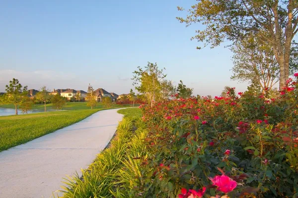 a view of a pathway with a yard