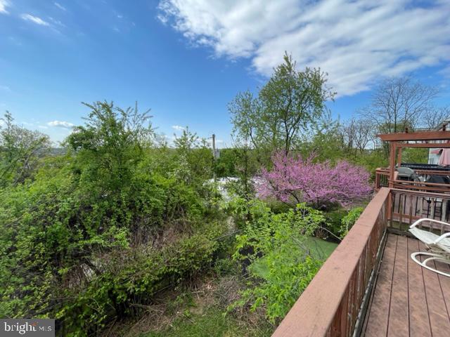 268 Ripka Street Philadelphia, PA 19127 - Photo 30 of 31 a view of a yard with potted plants