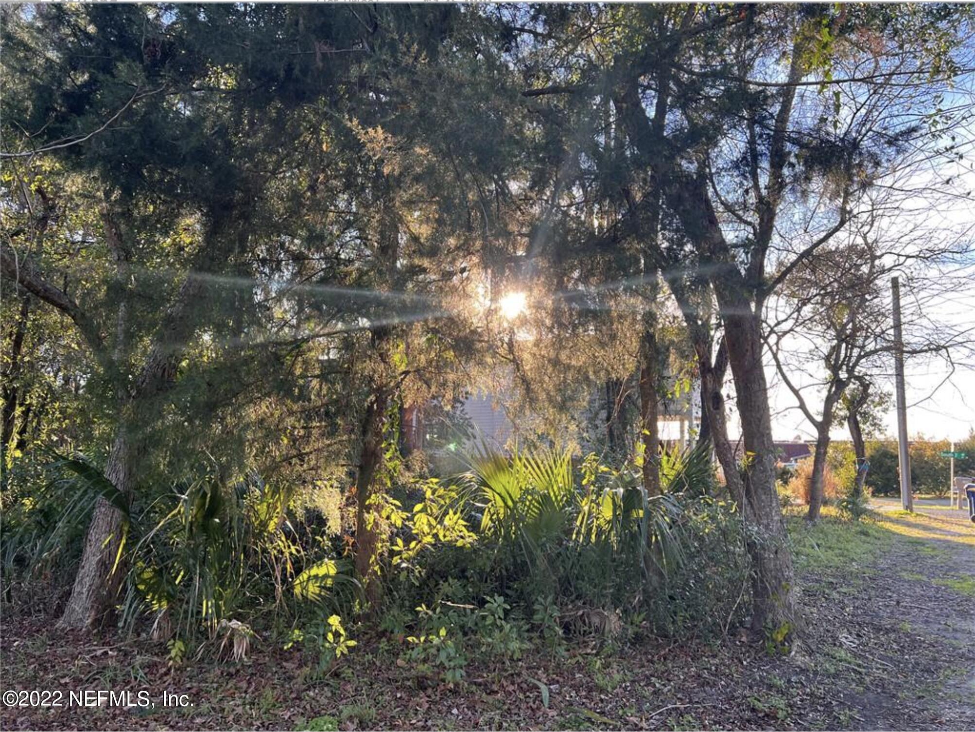 0 Elm Street Fernandina Beach, FL 32034 - Photo 1 of 4 a view of forest