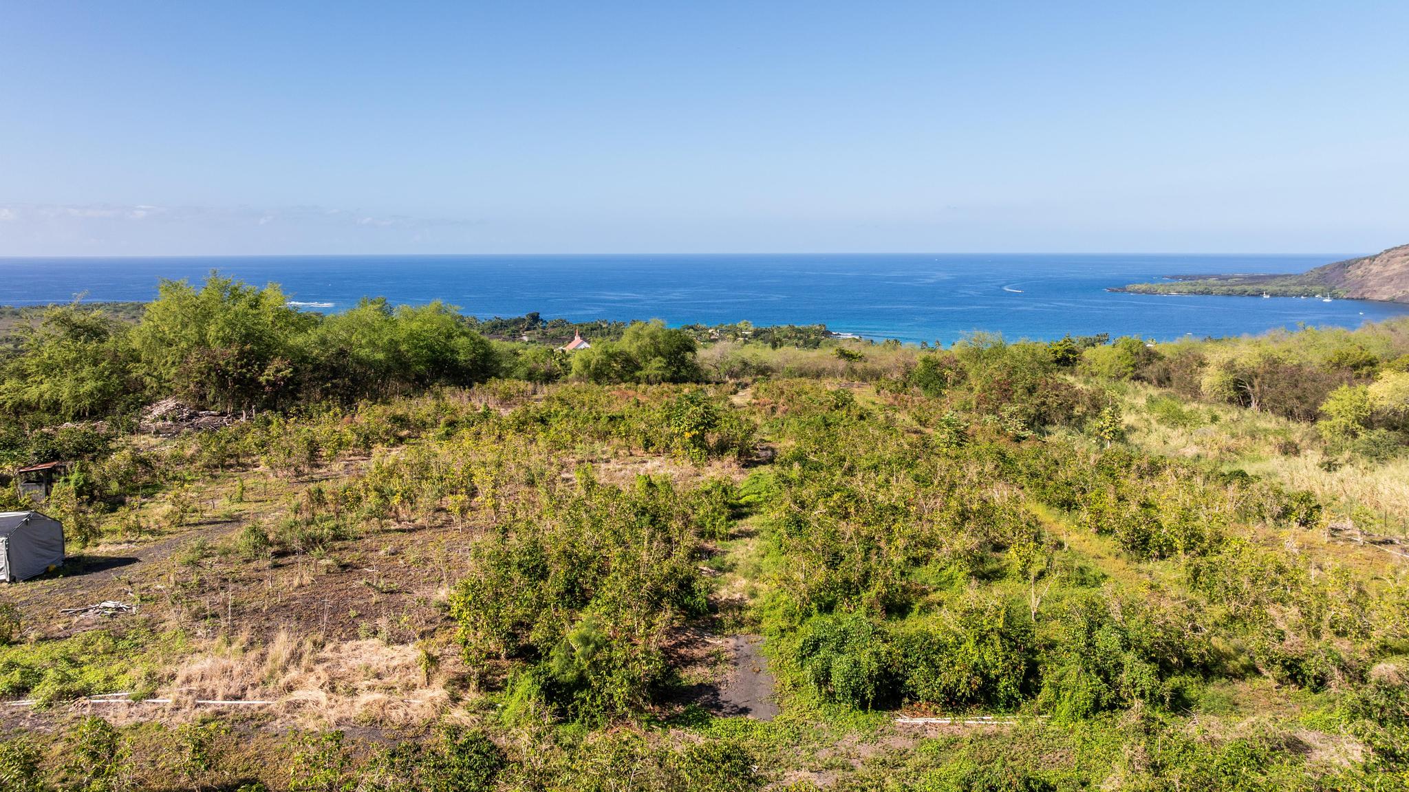 82-1177 Lot Road Captain Cook, HI 96704 - Photo 18 of 21 Gallery Image 18