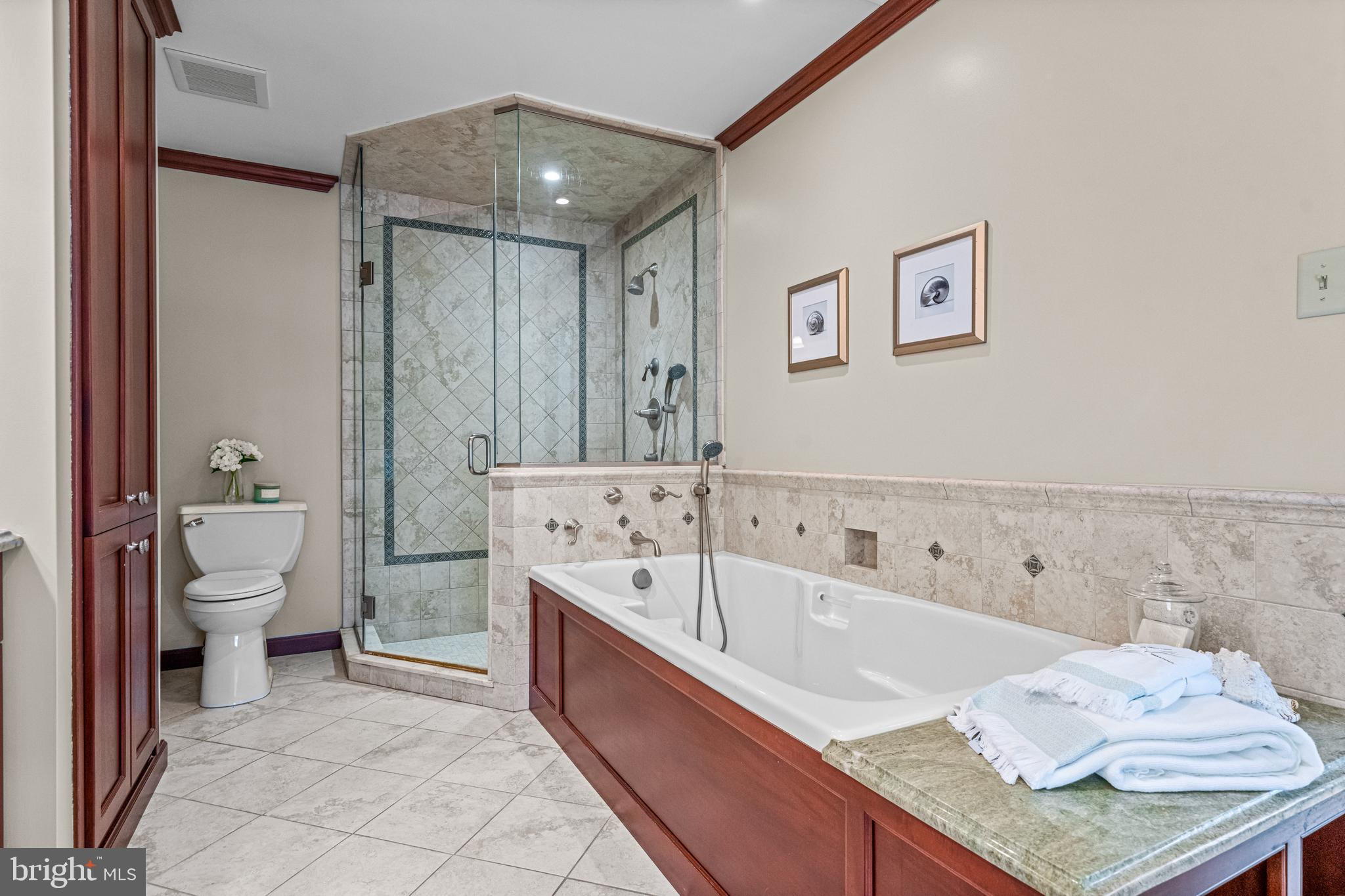 607 Foxfields Road Bryn Mawr, PA 19010 - Photo 27 of 48 Primary-Oversized tub and shower