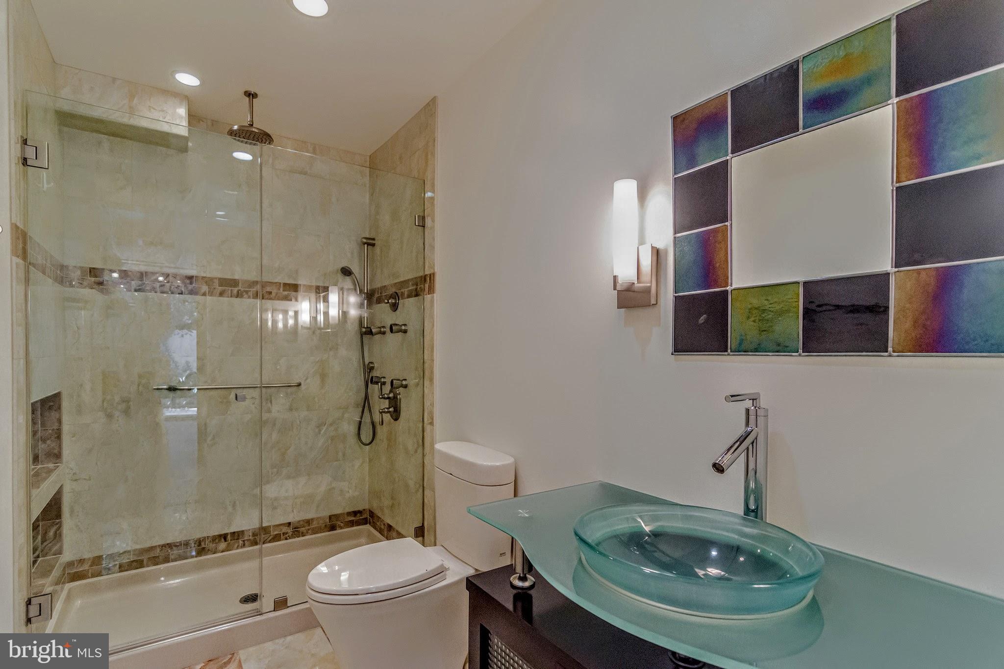 11503 Maple Ridge Road Reston, VA 20190 - Photo 13 of 94 Downstairs bath, spa shower system