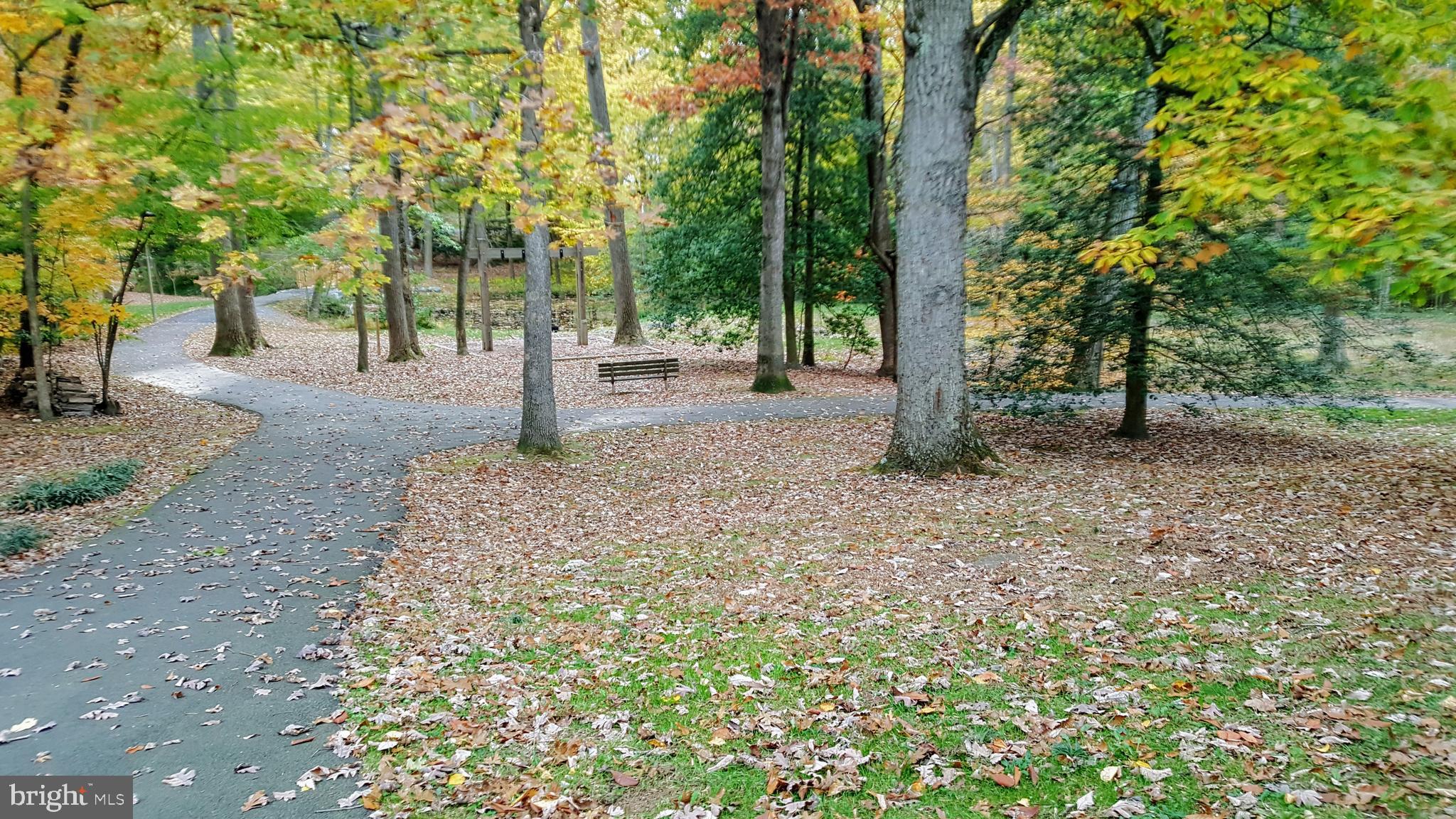 11503 Maple Ridge Road Reston, VA 20190 - Photo 18 of 94 Reston trails behind the house