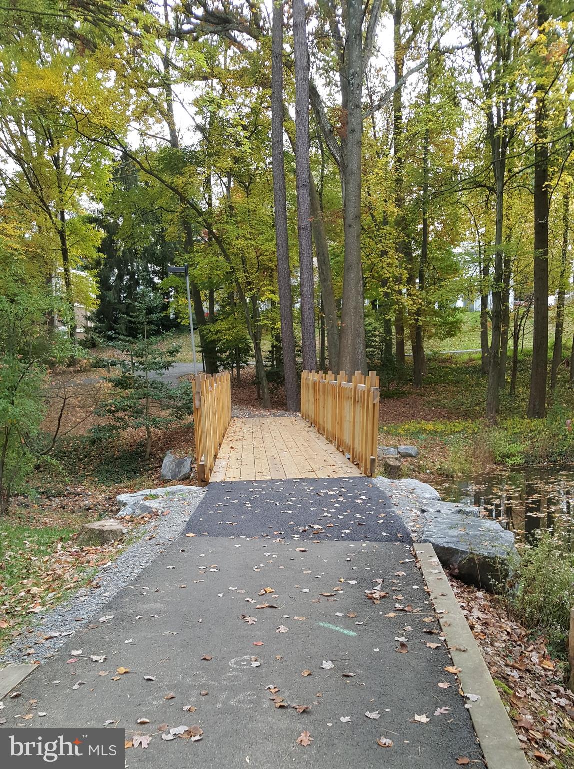 11503 Maple Ridge Road Reston, VA 20190 - Photo 19 of 94 Hickory Cluster Bridge