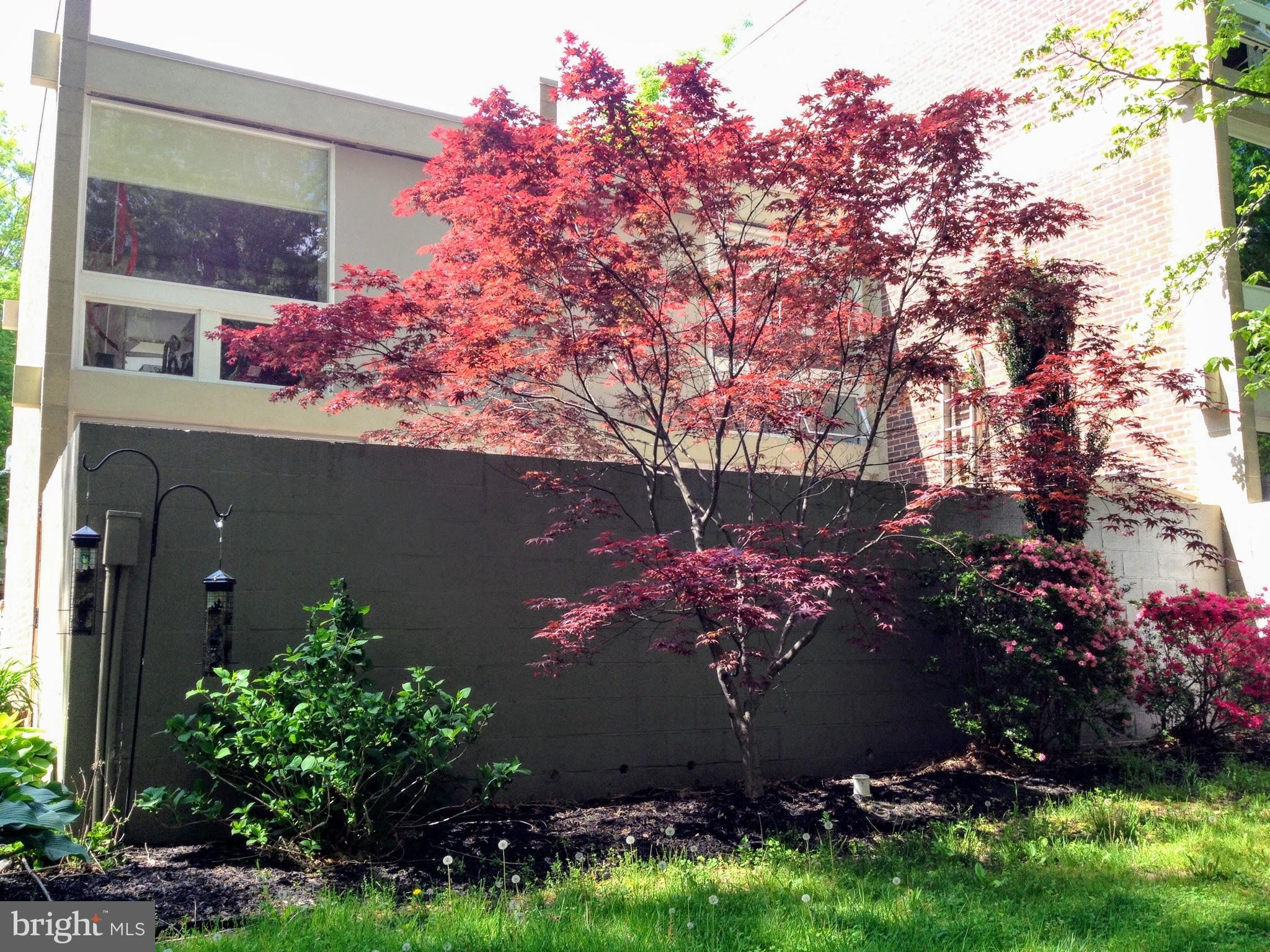 11503 Maple Ridge Road Reston, VA 20190 - Photo 22 of 94 Back of house, with Garden