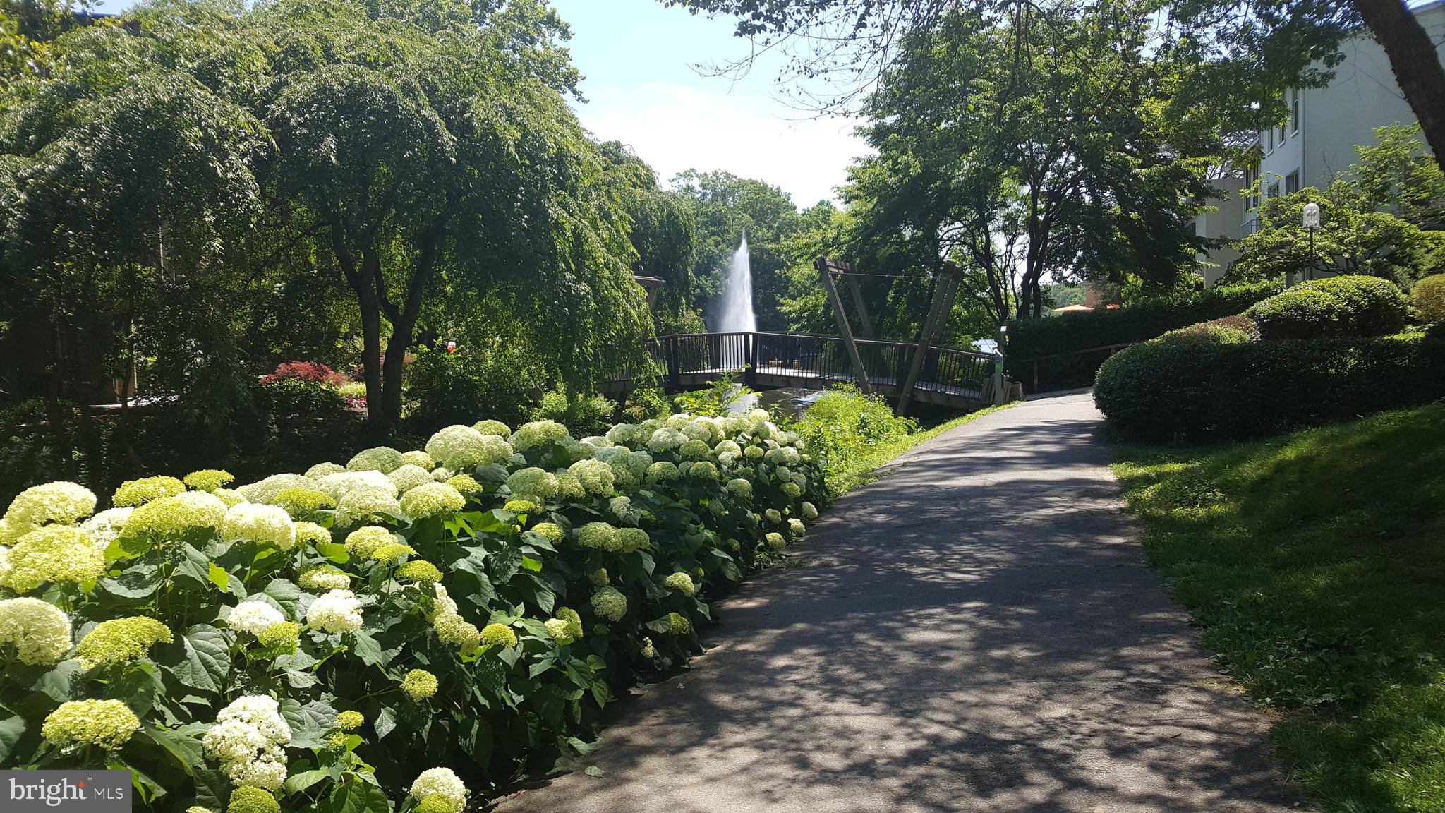 11503 Maple Ridge Road Reston, VA 20190 - Photo 23 of 94 Trail from house towards Lake Anne