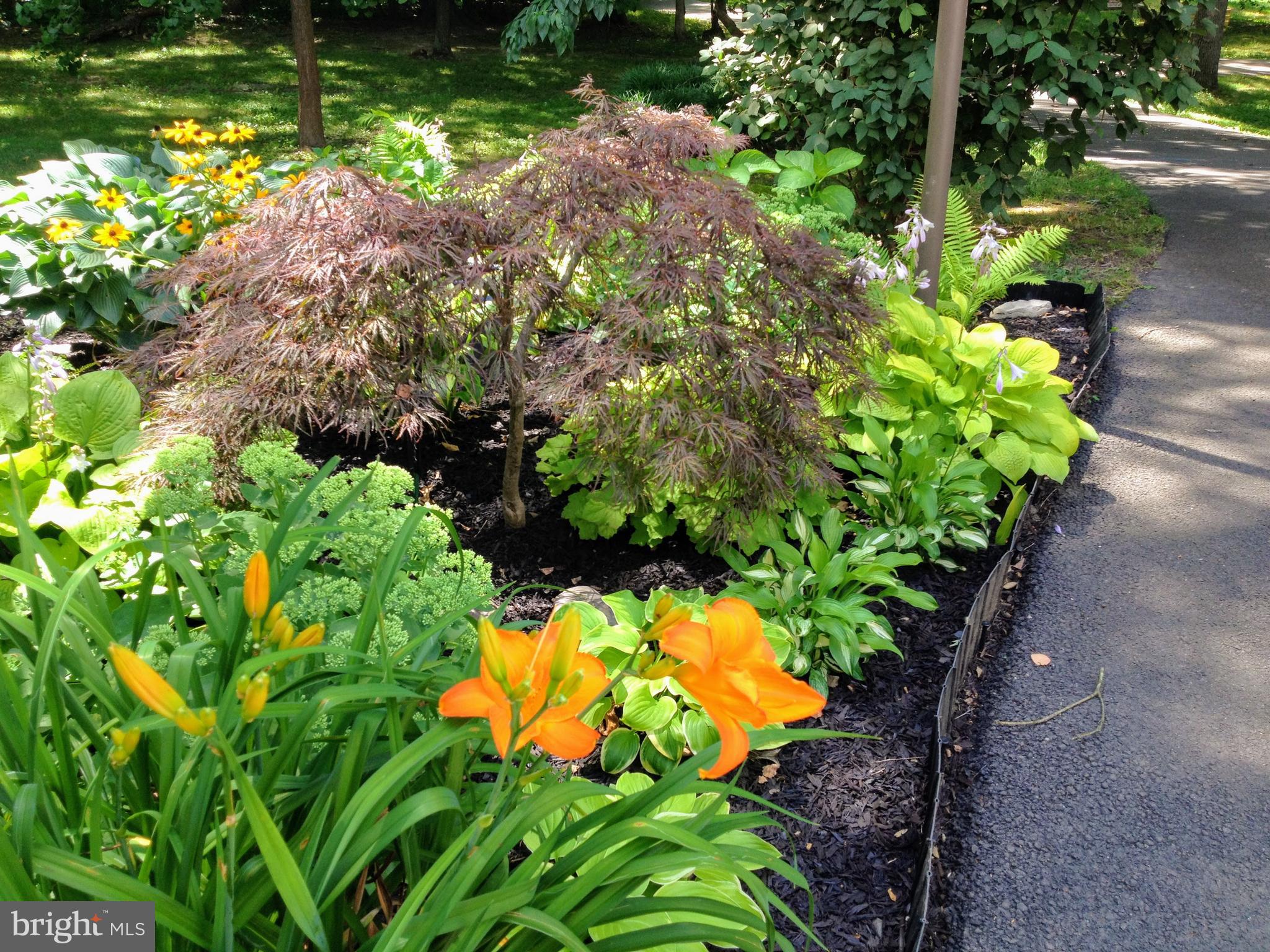 11503 Maple Ridge Road Reston, VA 20190 - Photo 24 of 94 View of Side garden