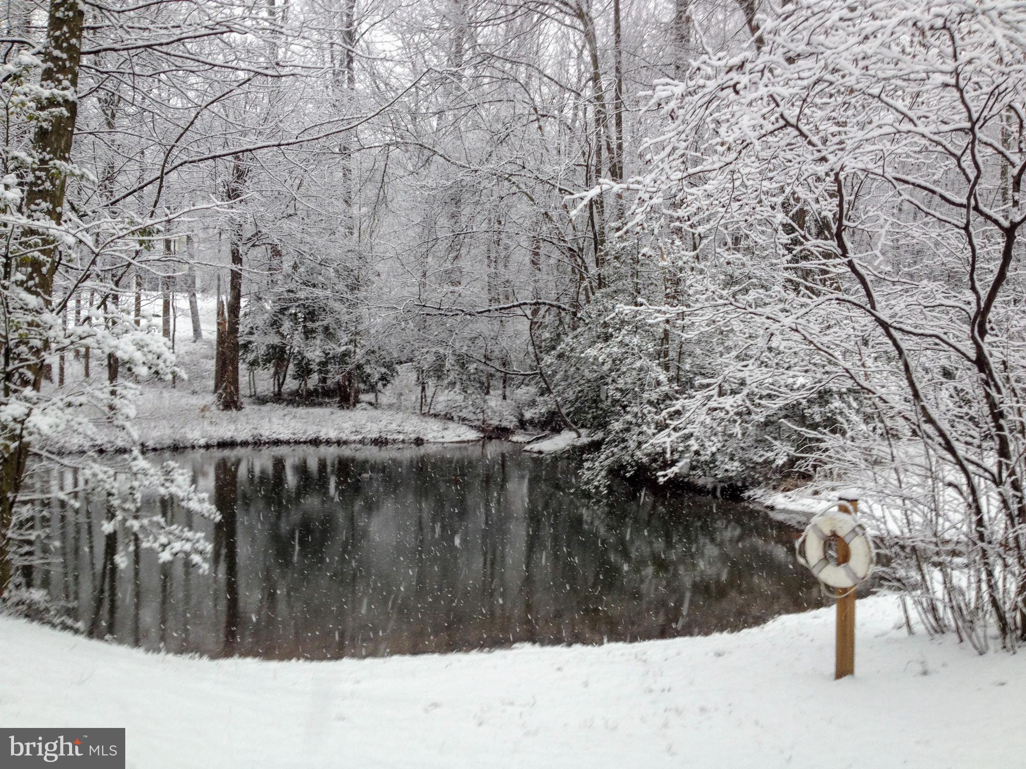 11503 Maple Ridge Road Reston, VA 20190 - Photo 28 of 94 Pond during the winter
