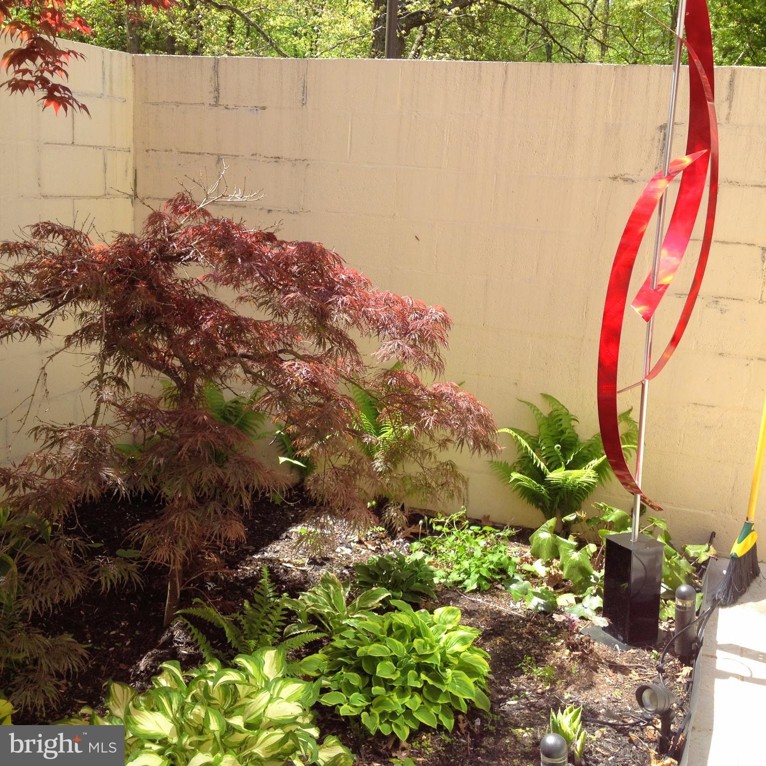 11503 Maple Ridge Road Reston, VA 20190 - Photo 32 of 94 Inside patio garden w/ Japanese maple