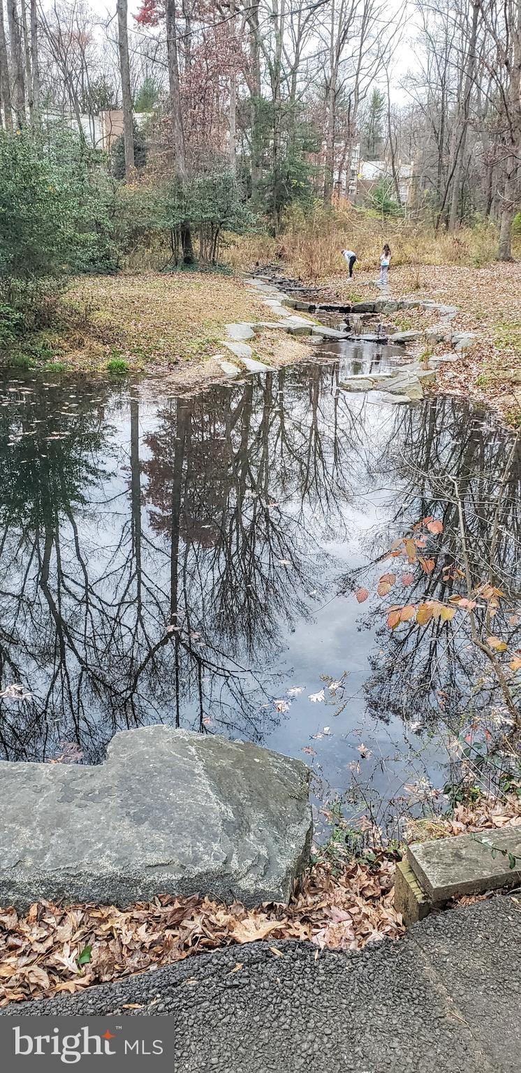 11503 Maple Ridge Road Reston, VA 20190 - Photo 43 of 94 Stream with waterfalls behind house