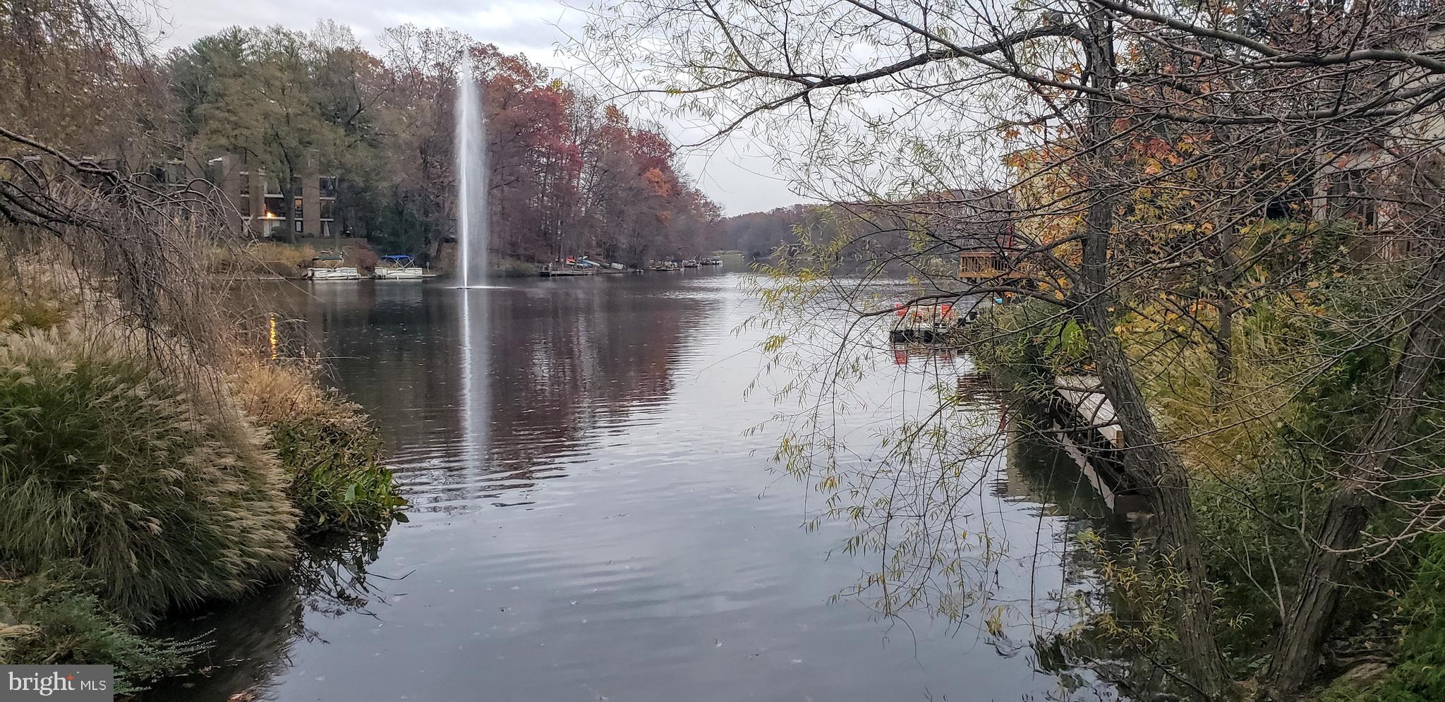 11503 Maple Ridge Road Reston, VA 20190 - Photo 46 of 94 lake Anne around corner from house