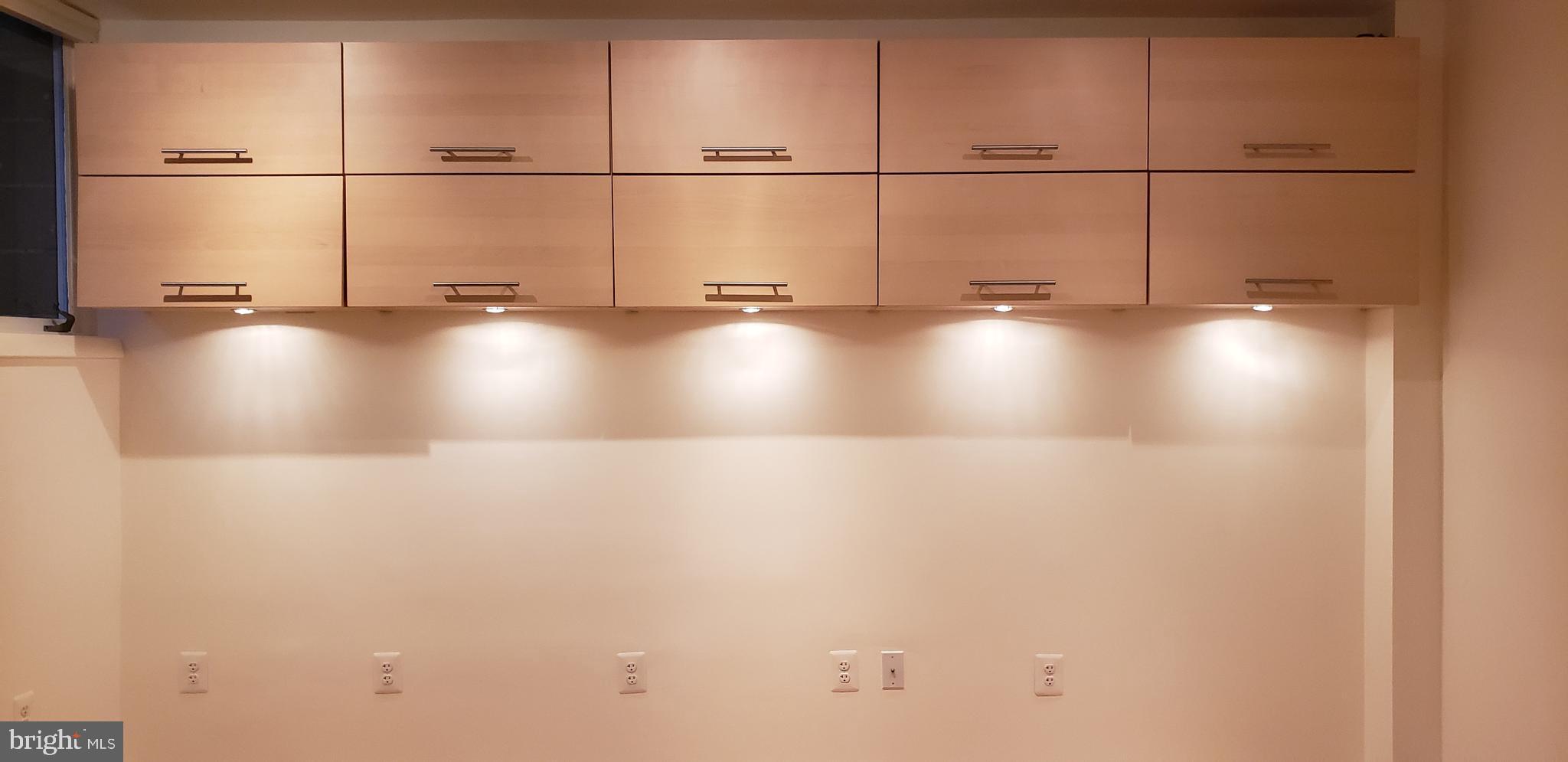 11503 Maple Ridge Road Reston, VA 20190 - Photo 61 of 94 Bedroom 2 cabinets offer huge storage