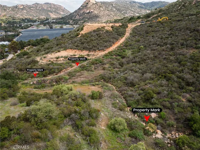 a view of a outdoor space with a tree