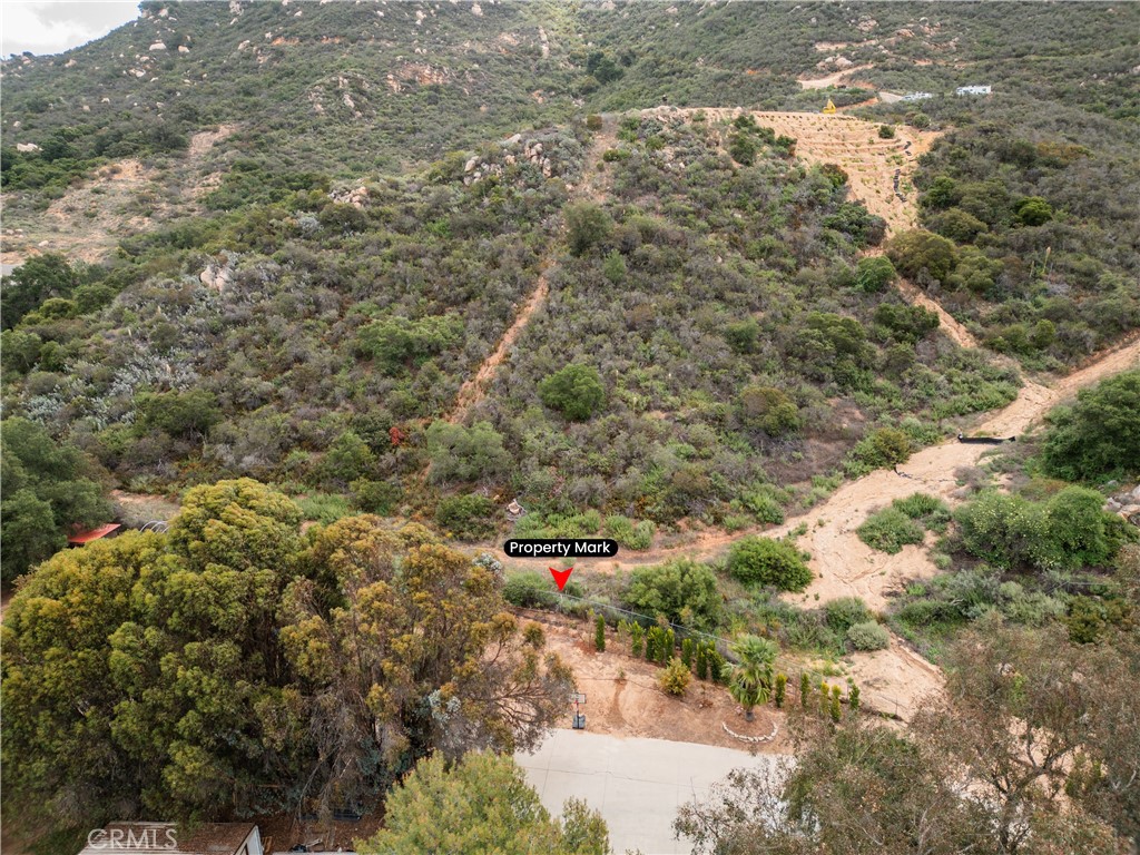 0 Jubilee Drive Fallbrook, CA 92028 - Photo 19 of 21 a close up of a tree