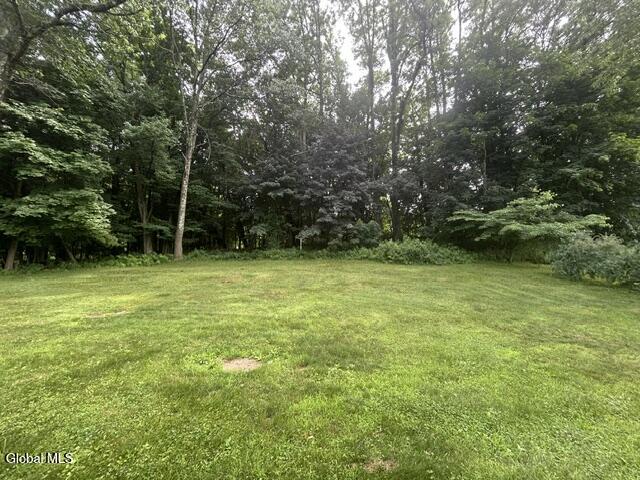 14 Hadel Road Glenville, NY 12302 - Photo 6 of 24 IMG_9682