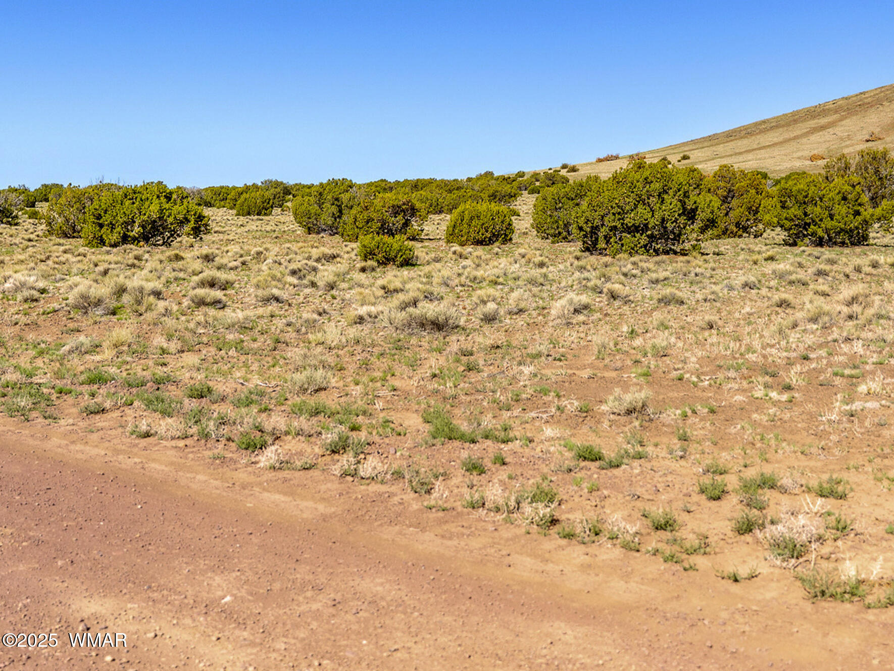 5106 Lots Concho, AZ 85924 - Photo 8 of 11 County Road 5106 edit 3 (1)
