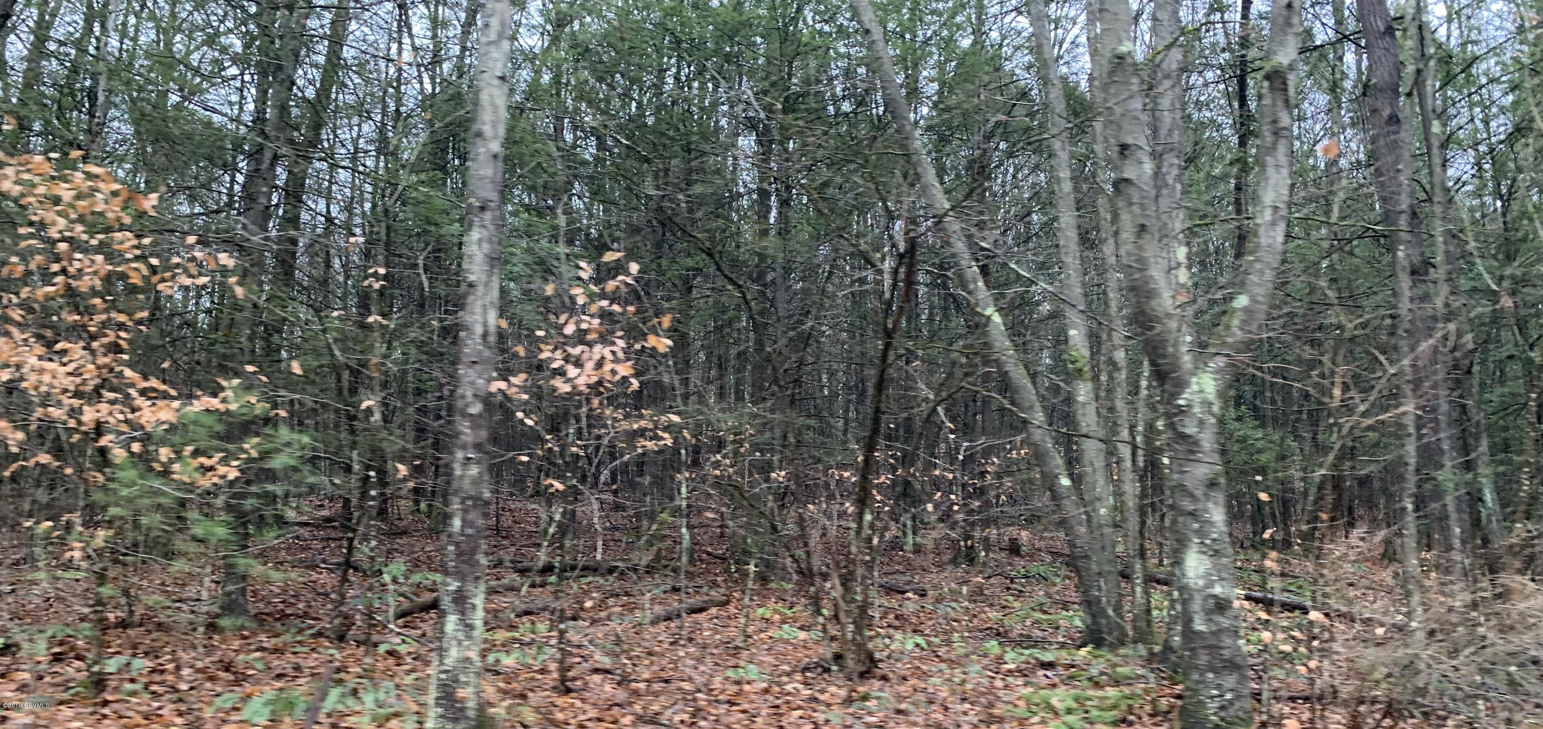 Hollow Road Muncy, PA 17756 - Photo 1 of 3