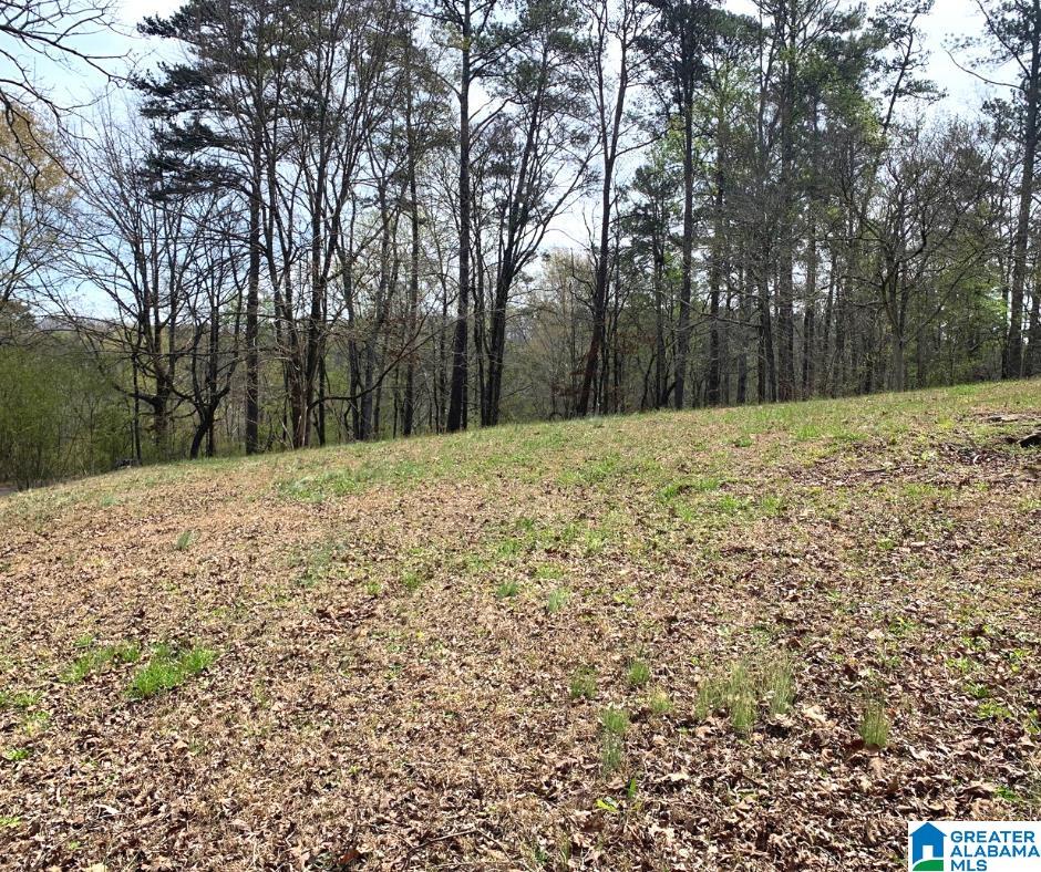 48-126 Hoot Owl Hollow Road, Unit 48 & 126 Ohatchee, AL 36271 - Photo 4 of 8