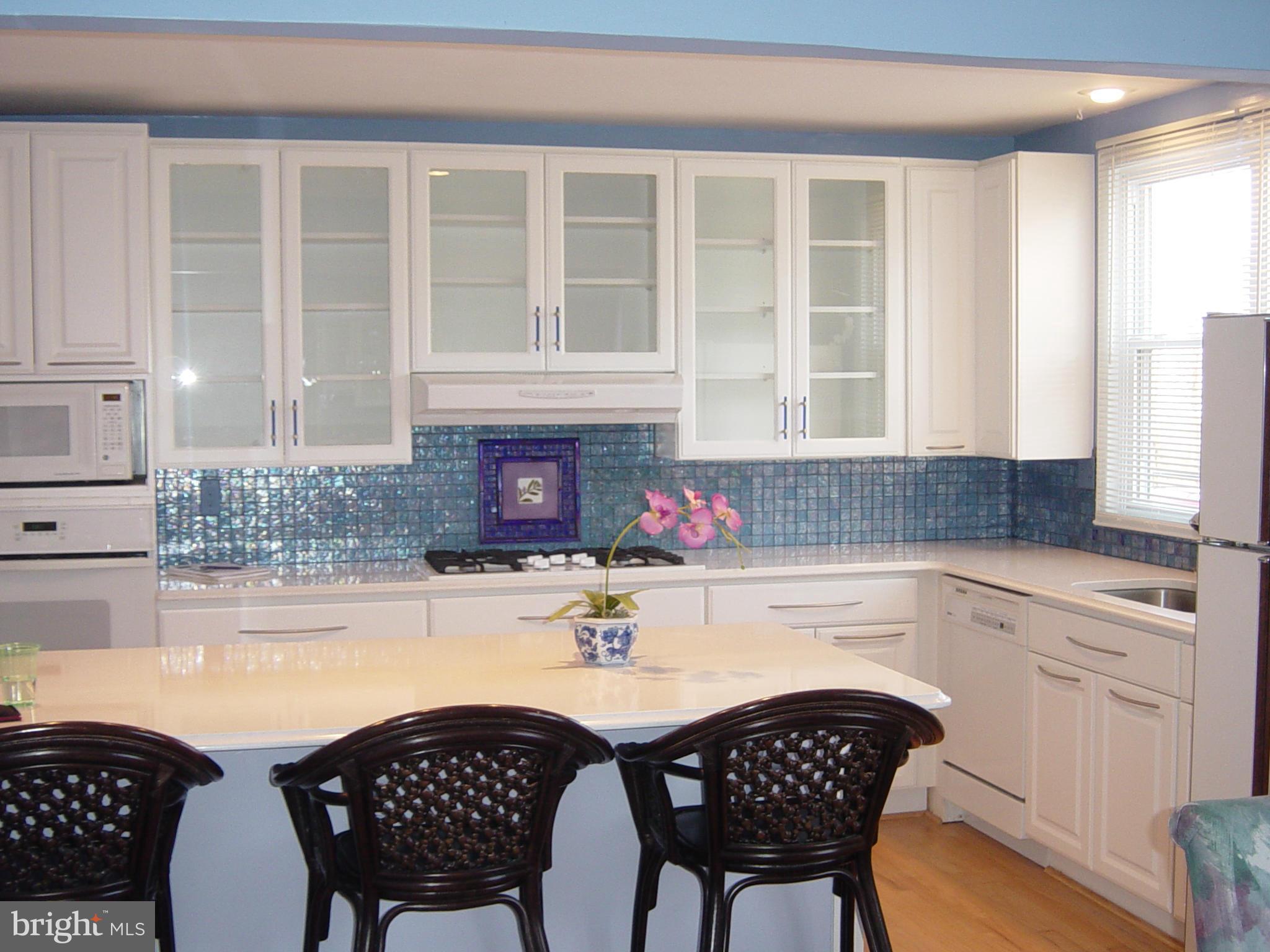 8723 Meadow Heights Road Randallstown, MD 21133 - Photo 3 of 14 Kitchen