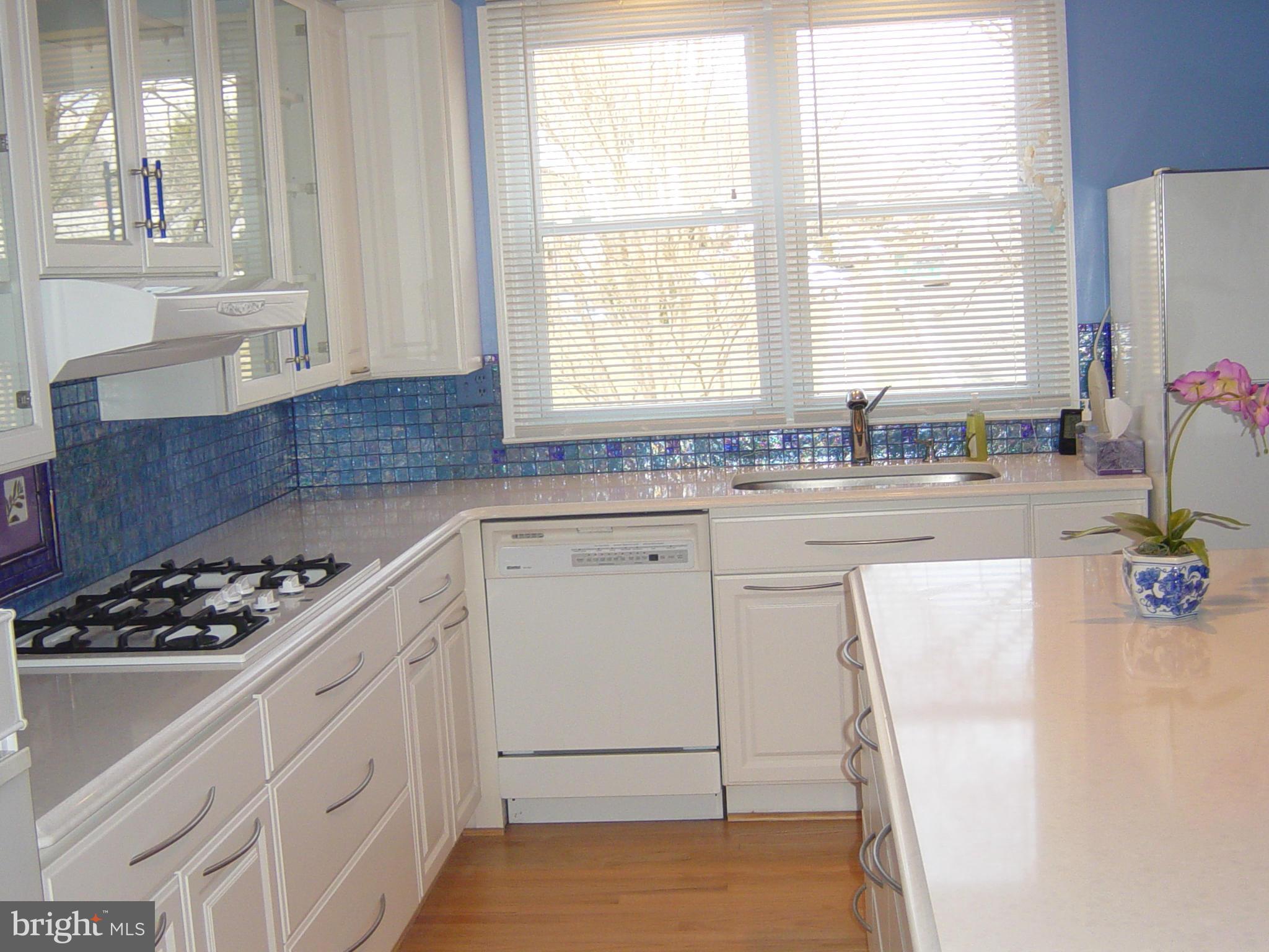 8723 Meadow Heights Road Randallstown, MD 21133 - Photo 4 of 14 Kitchen
