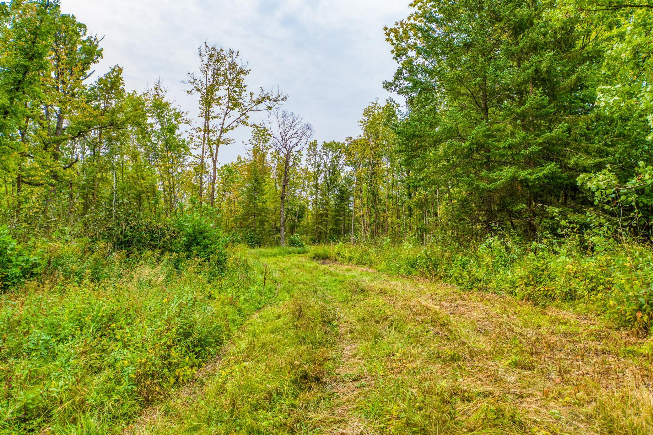 12479 Battle Road Northeast Blackduck, MN 56630 - Photo 29 of 37