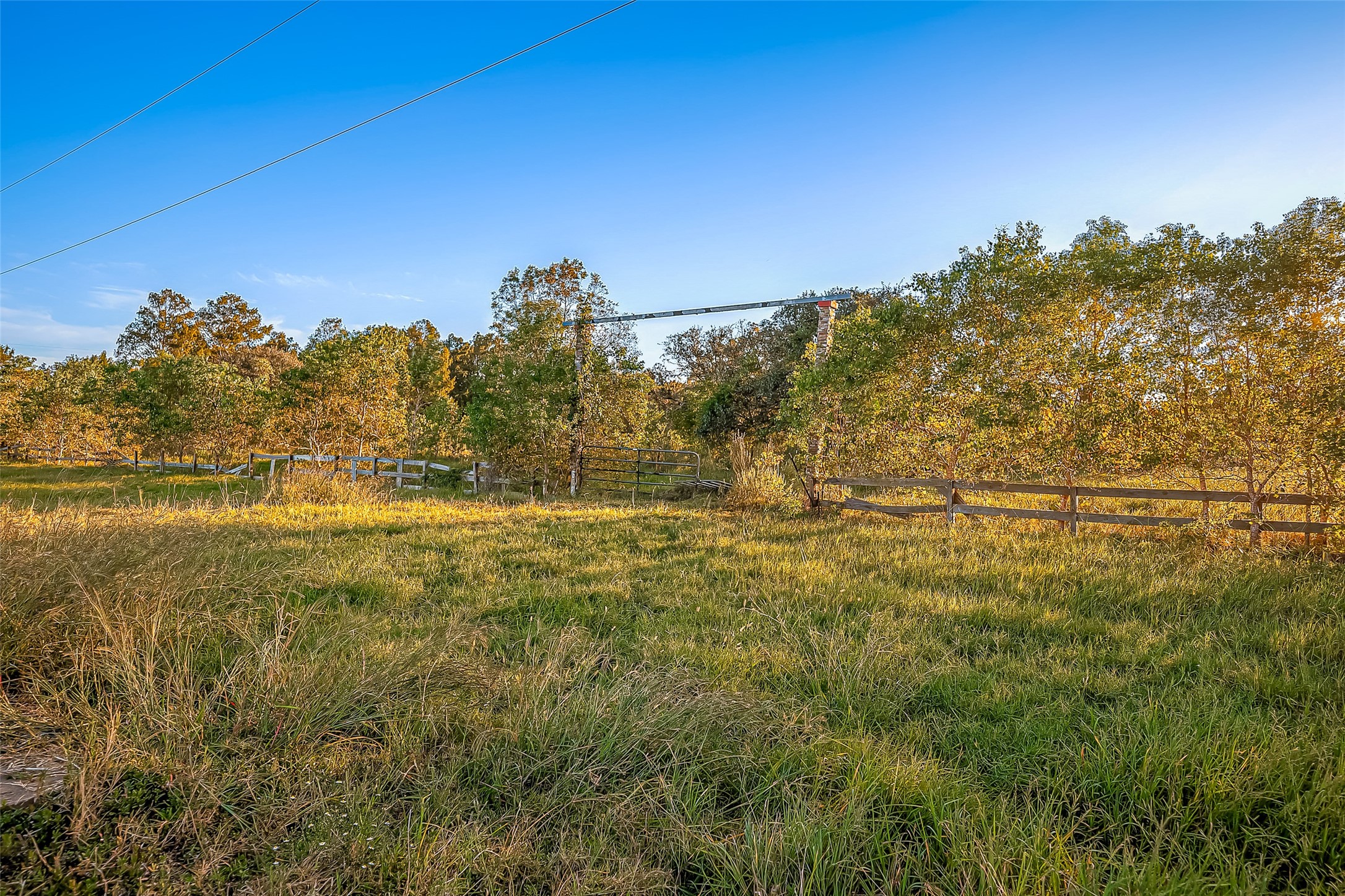2830 County Road 290 Angleton, TX 77515 - Photo 4 of 11 a view of a large yard with lots of green space and house in the back