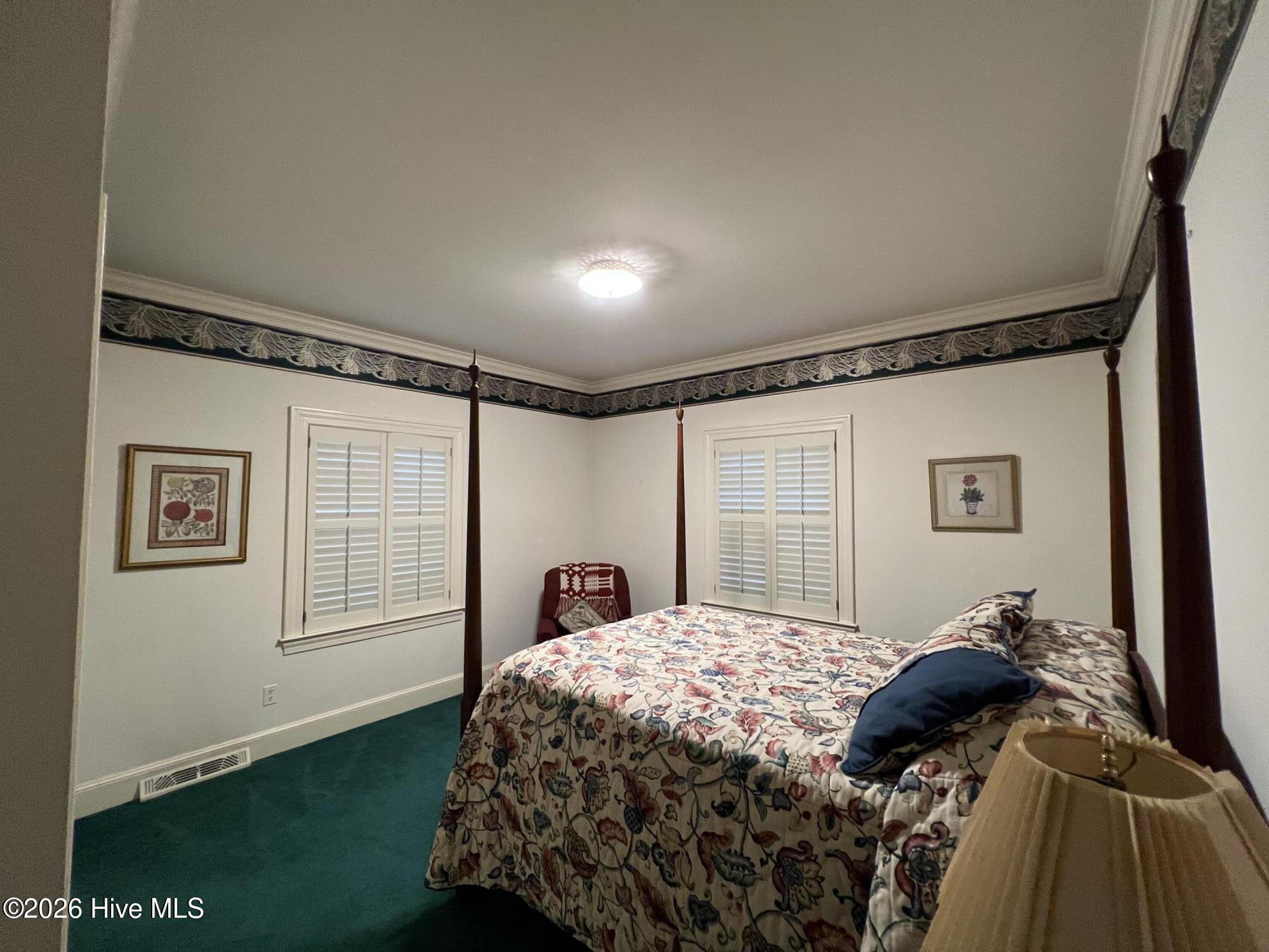 638 Davistown-Mercer Road Pinetops, NC 27864 - Photo 39 of 52 downstairs bedroom v iew 2