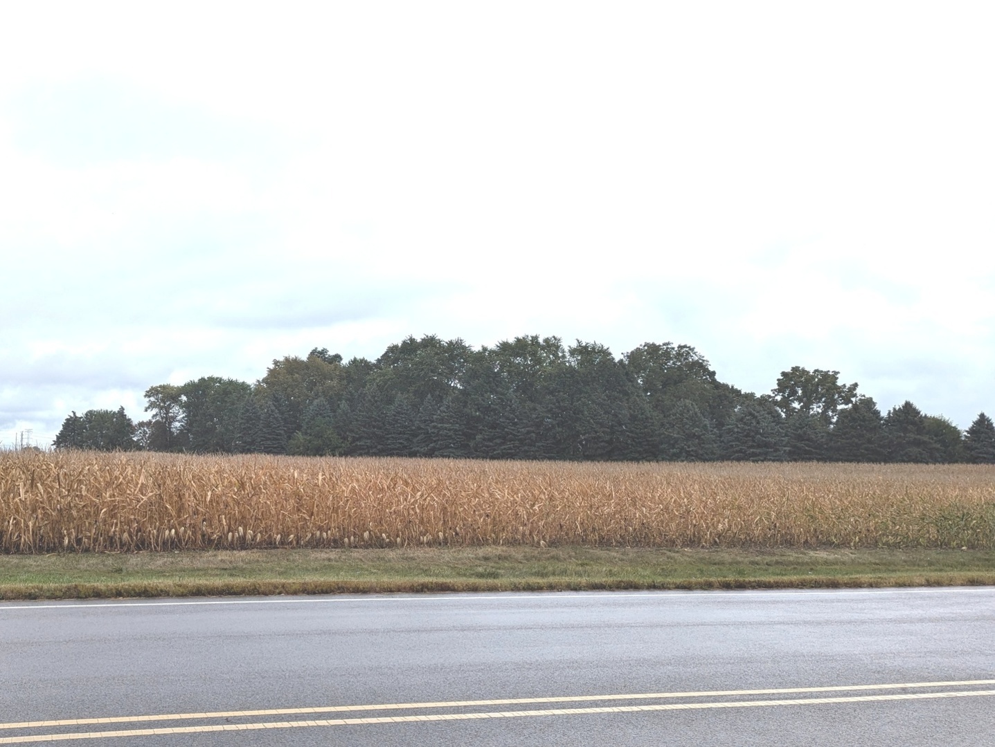 6.63-acres Denny Road Sugar Grove, IL 60554 - Photo 1 of 8 Gallery Image 1