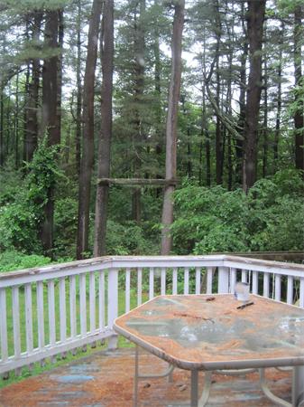 27 Mossman Road Sudbury, MA 01776 - Photo 8 of 9 Gallery Image 8