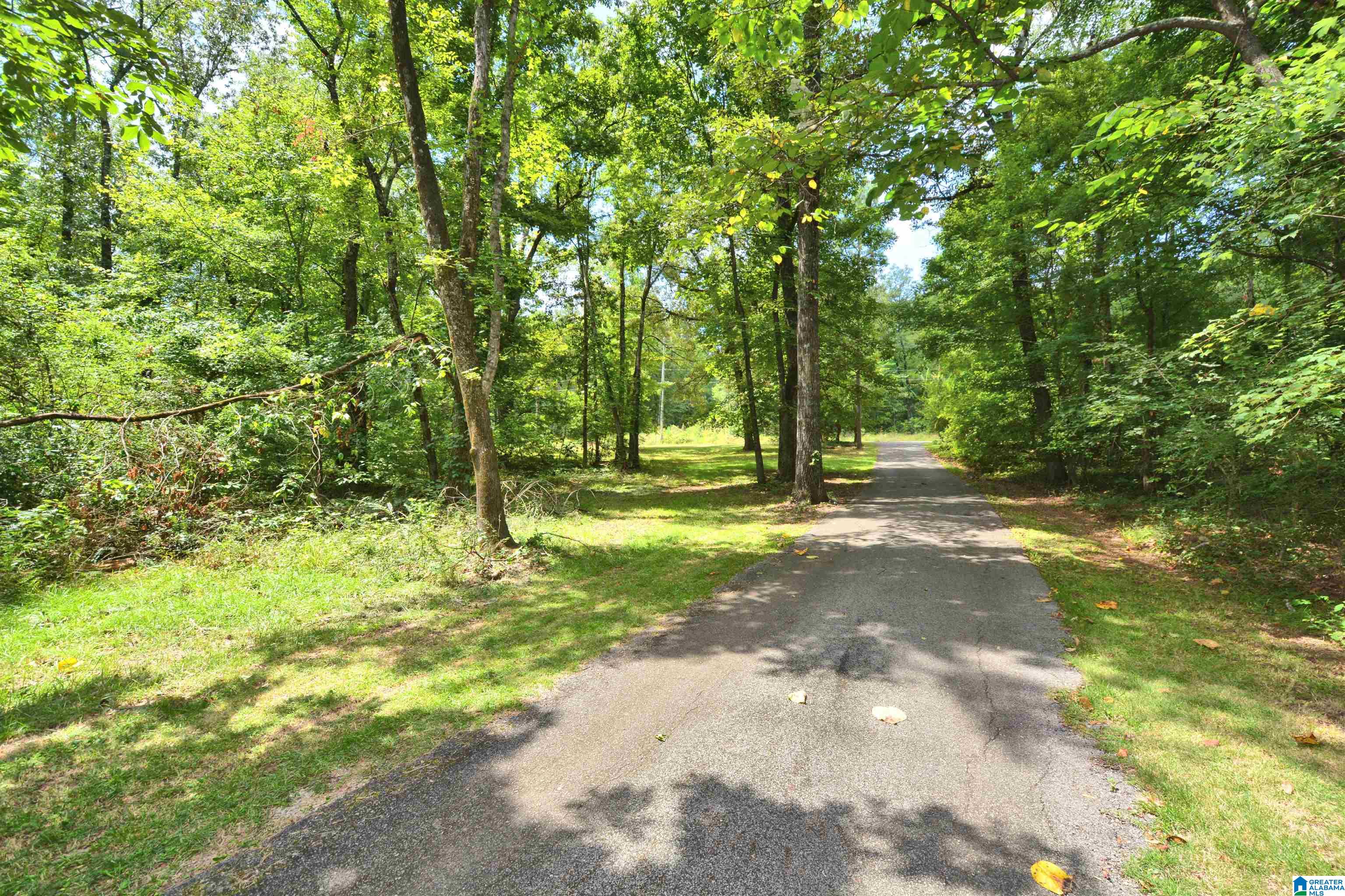 153 Chestnut Drive Alabaster, AL 35007 - Photo 51 of 52