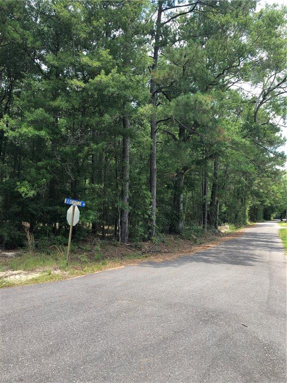 0 Rayford Seals And Rj Cheramie Road Bogalusa, LA 70427 - Photo 5 of 10 Gallery Image 5