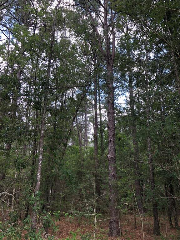 0 Rayford Seals And Rj Cheramie Road Bogalusa, LA 70427 - Photo 6 of 10 Gallery Image 6